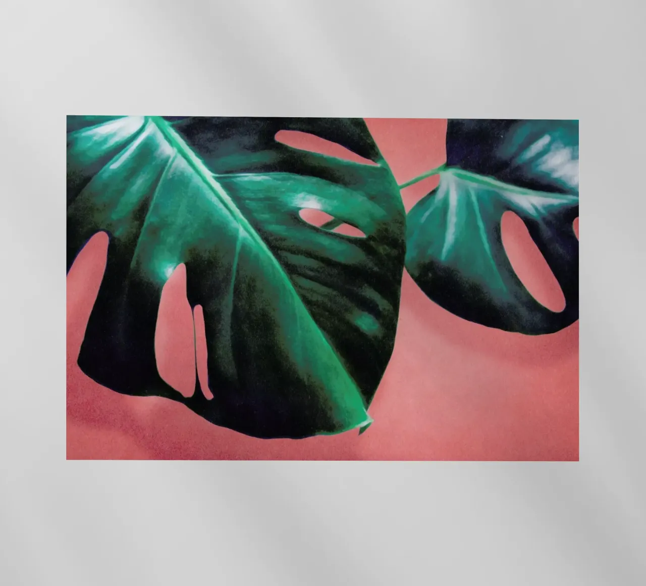 MONSTERA #2 pellicola backlit da STUDIO LEEMO