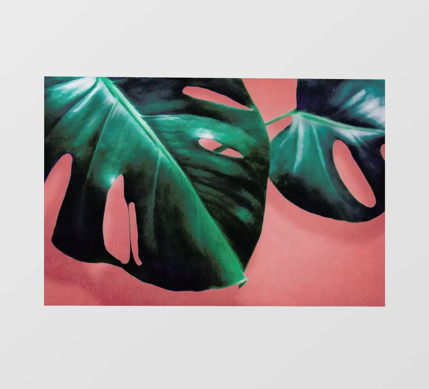 MONSTERA #2 pellicola backlit da STUDIO LEEMO