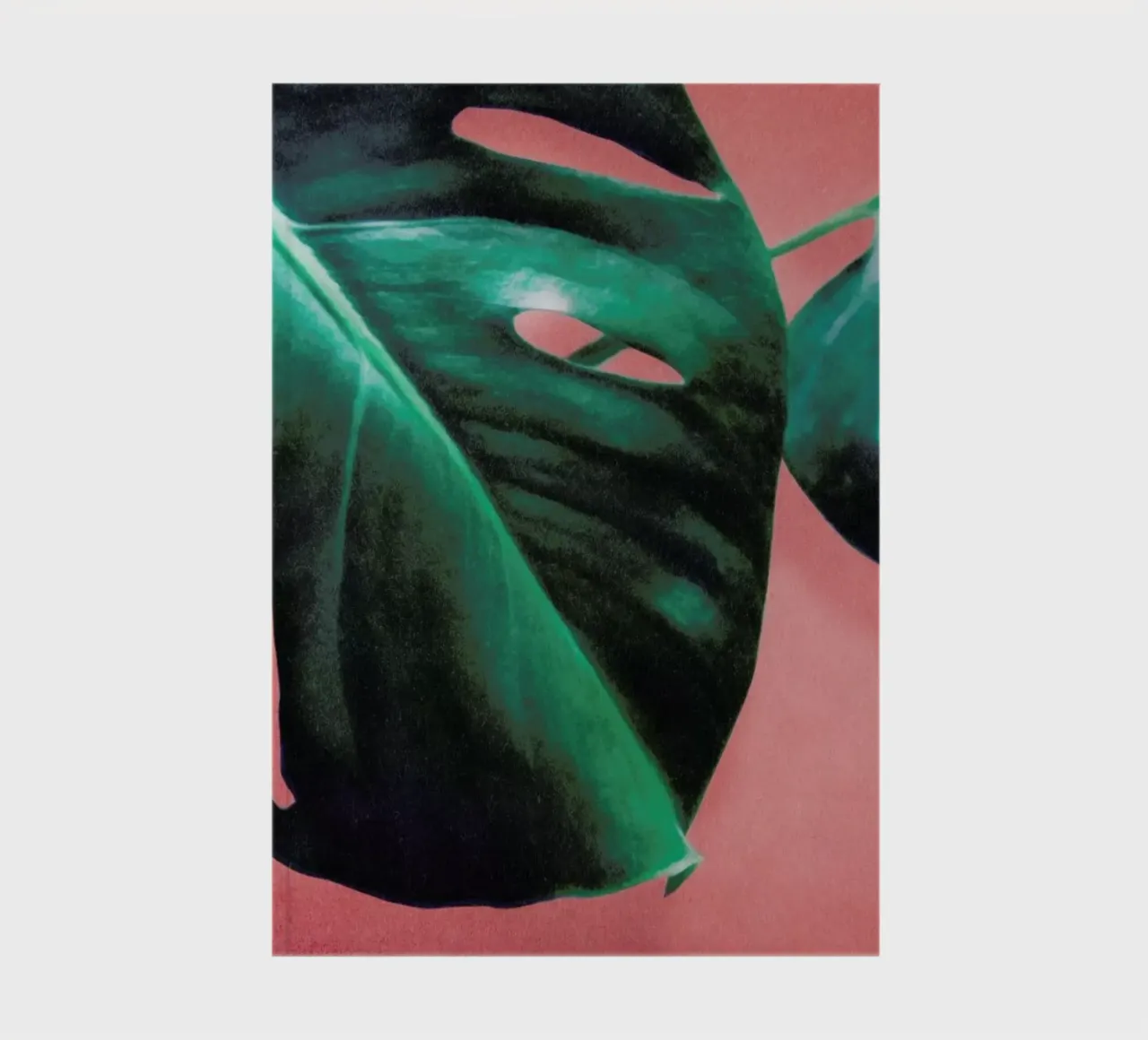 MONSTERA #2 notebook by STUDIO LEEMO