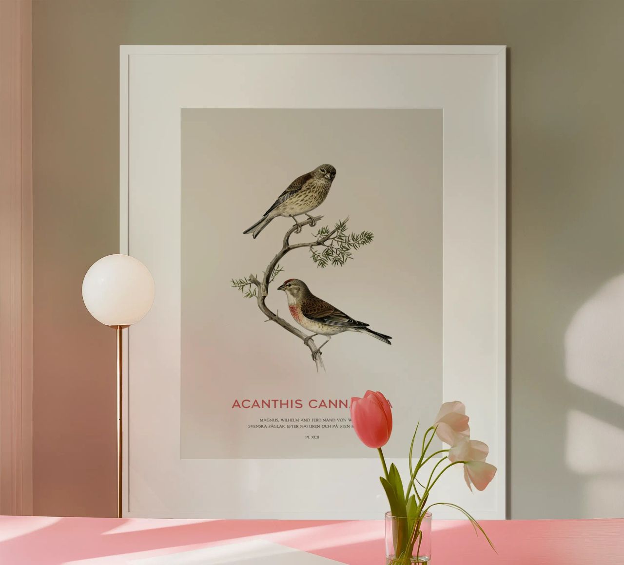 Common linnet or Linaria cannabina poster by Vintagrafica
