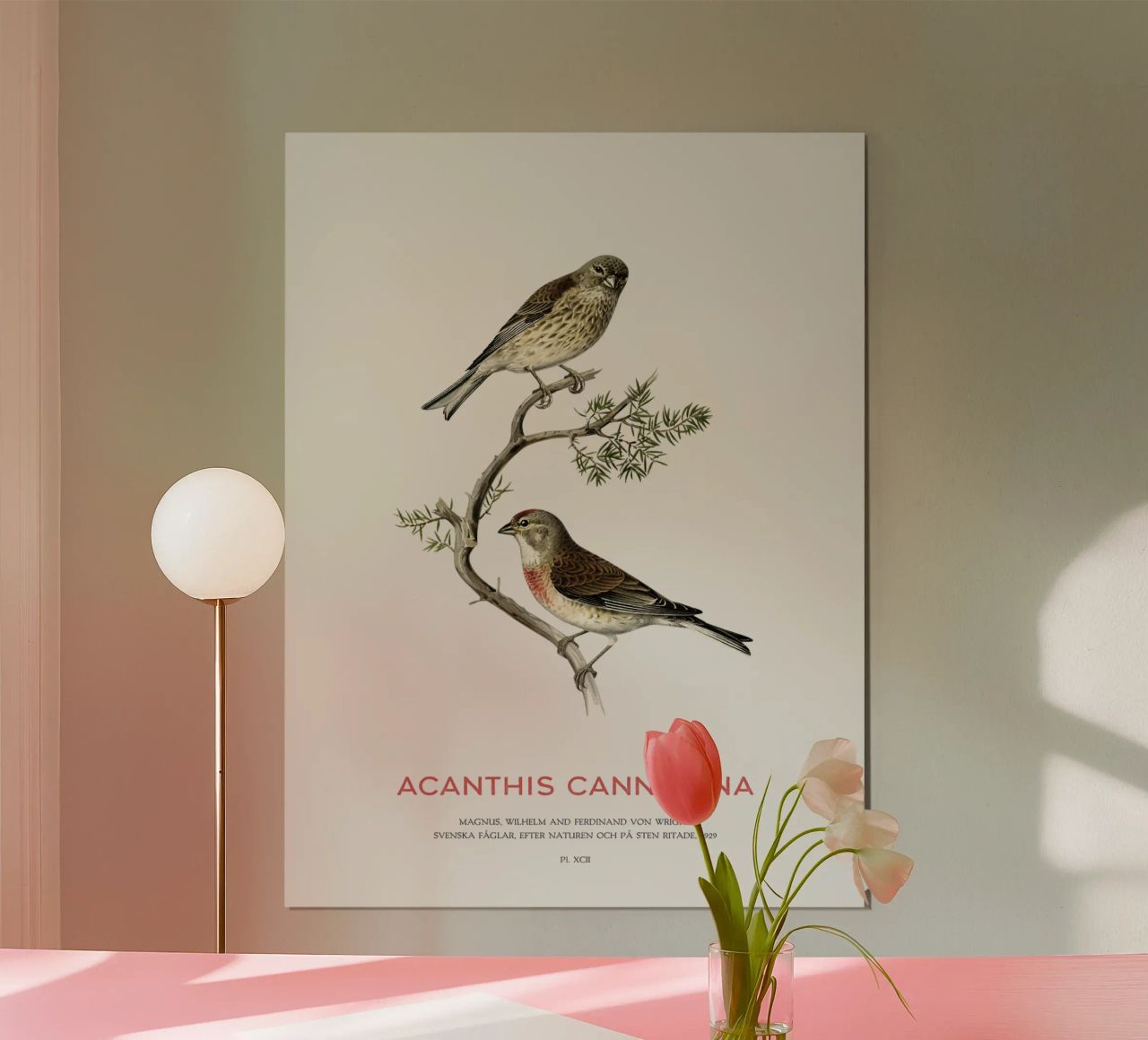 Common linnet or Linaria cannabina poster by Vintagrafica
