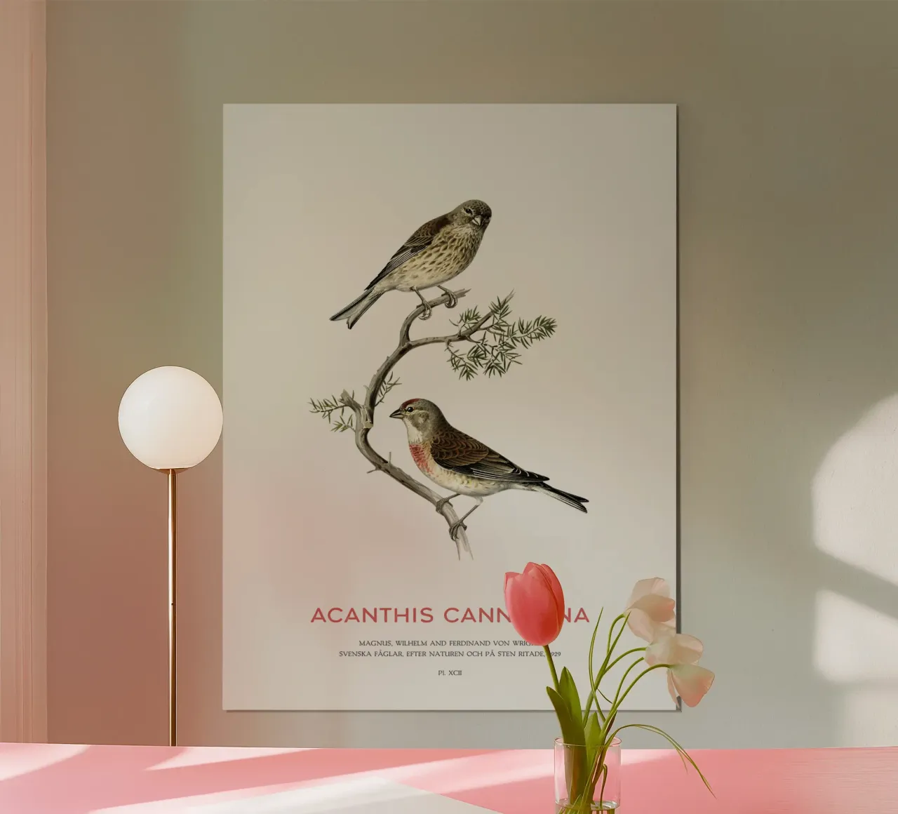 Common linnet or Linaria cannabina poster by Vintagrafica