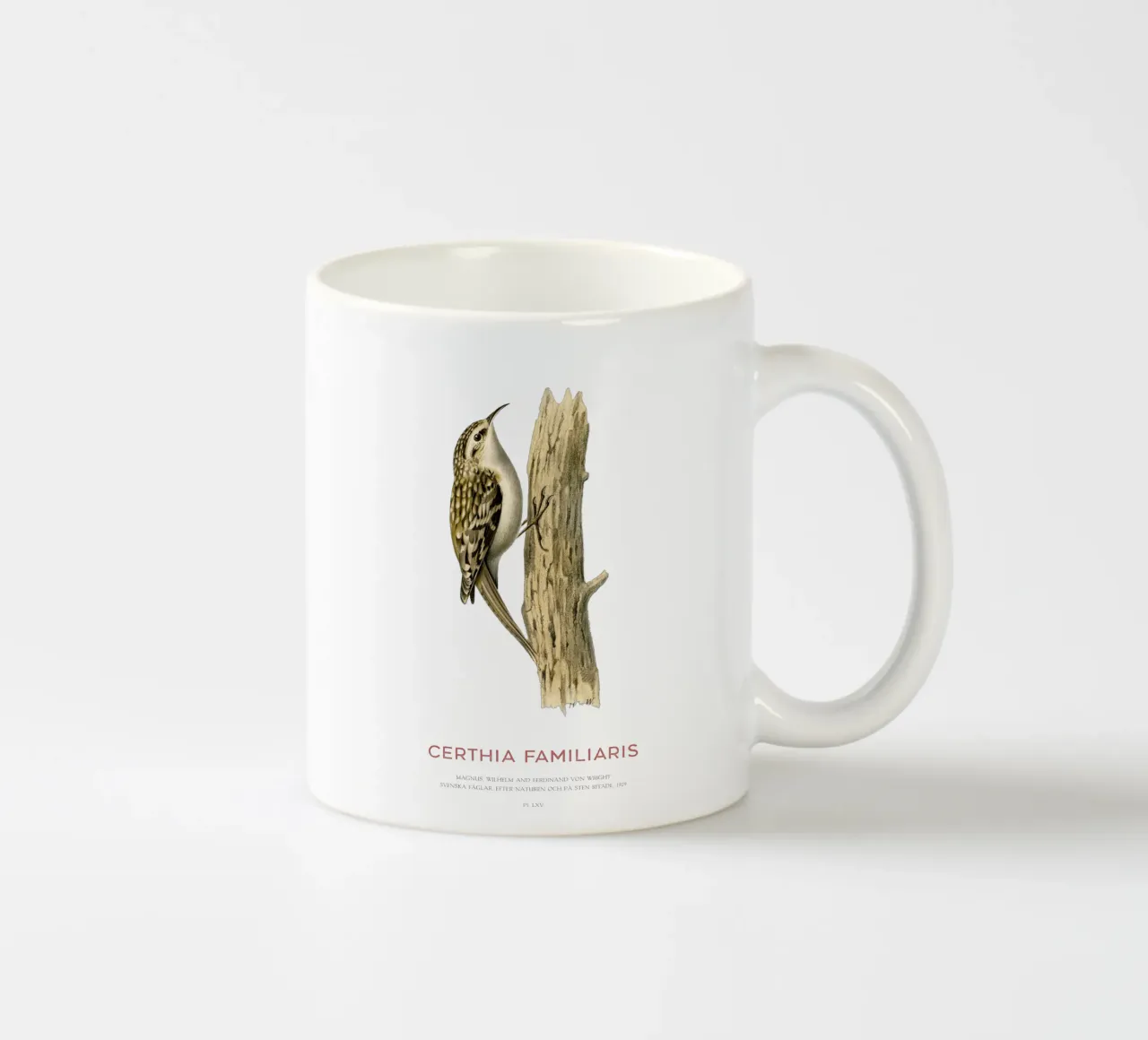 Picchio muratore o Certhia familiaris tazza in ceramica da Vintagrafica