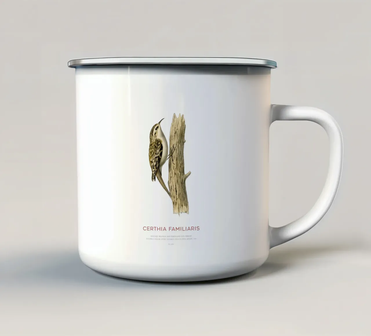Picchio muratore o Certhia familiaris tazza in smalto da Vintagrafica