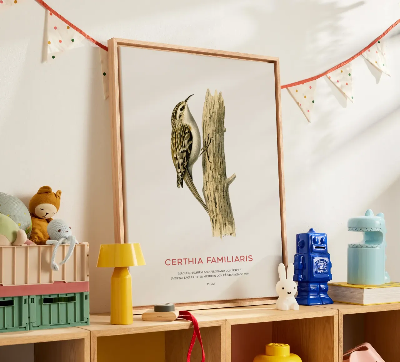 Baumläufer oder Certhia familiaris Leinwand von Vintagrafica