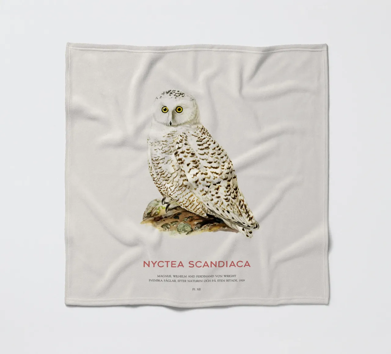 Schneeeule oder Nyctea scandiaca Fleecedecke von Vintagrafica