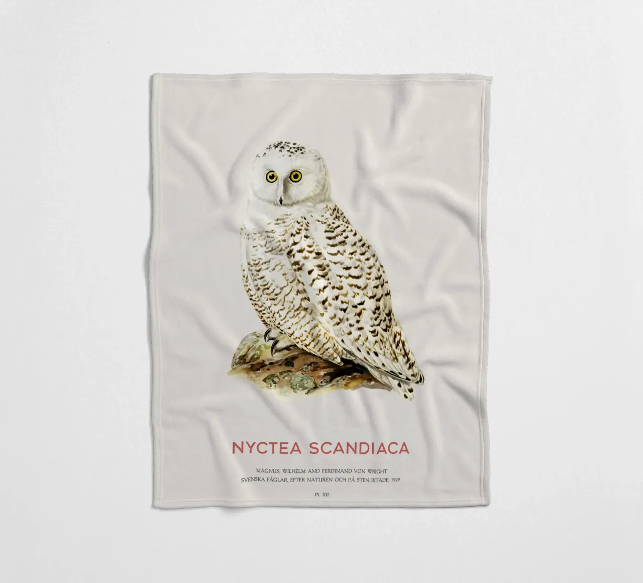 Schneeeule oder Nyctea scandiaca Fleecedecke von Vintagrafica