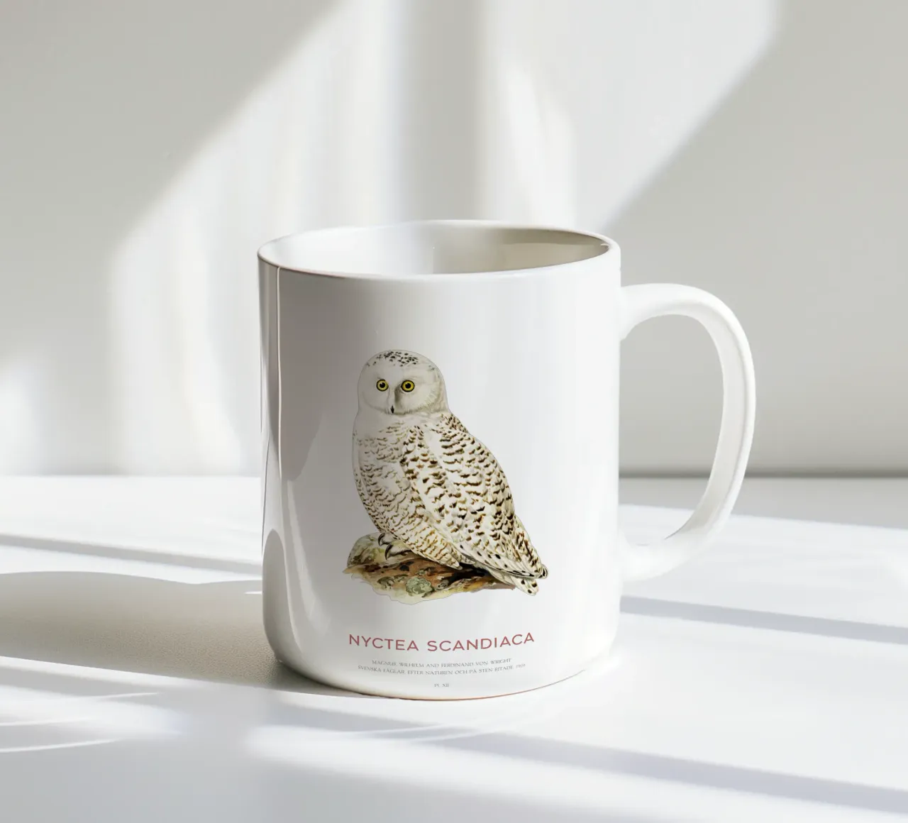 Sneeuwuil of Nyctea scandiaca keramische mok van Vintagrafica