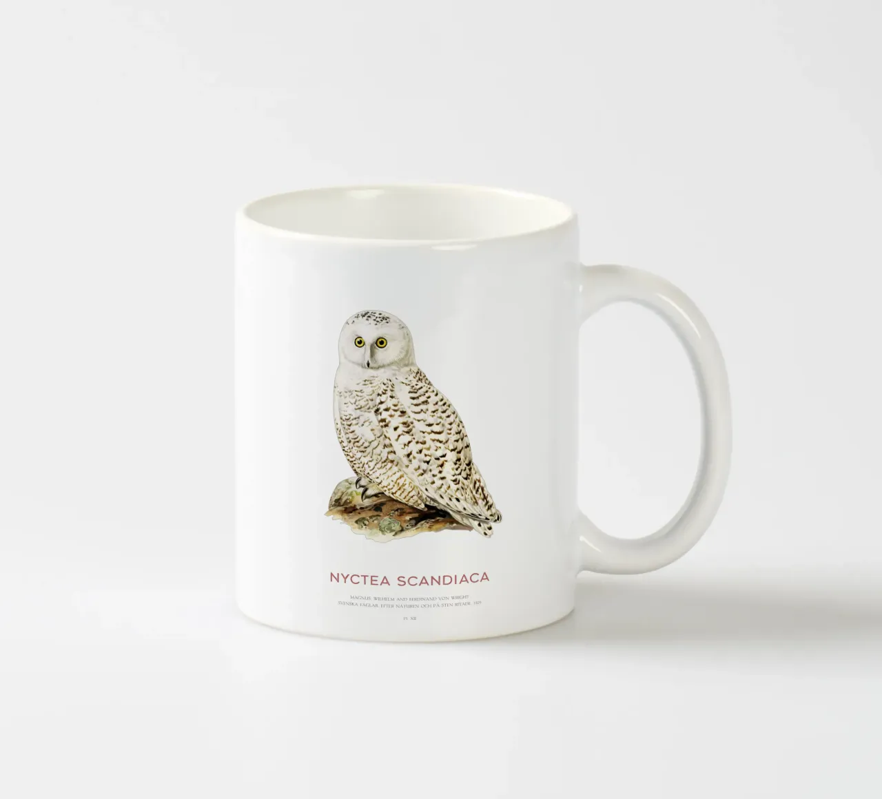 Sneeuwuil of Nyctea scandiaca keramische mok van Vintagrafica