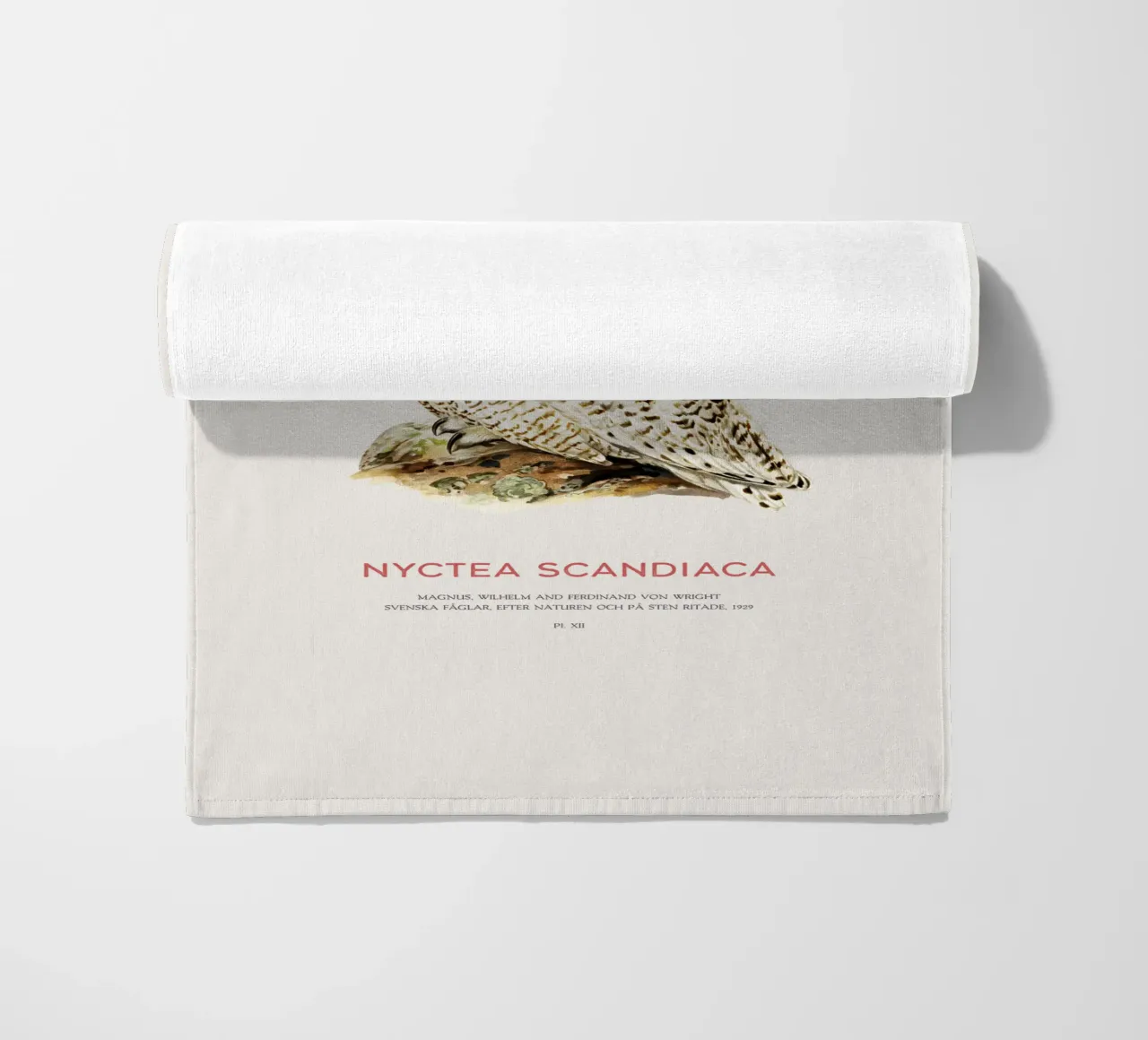 Snowy owl or Nyctea scandiaca beach towel by Vintagrafica