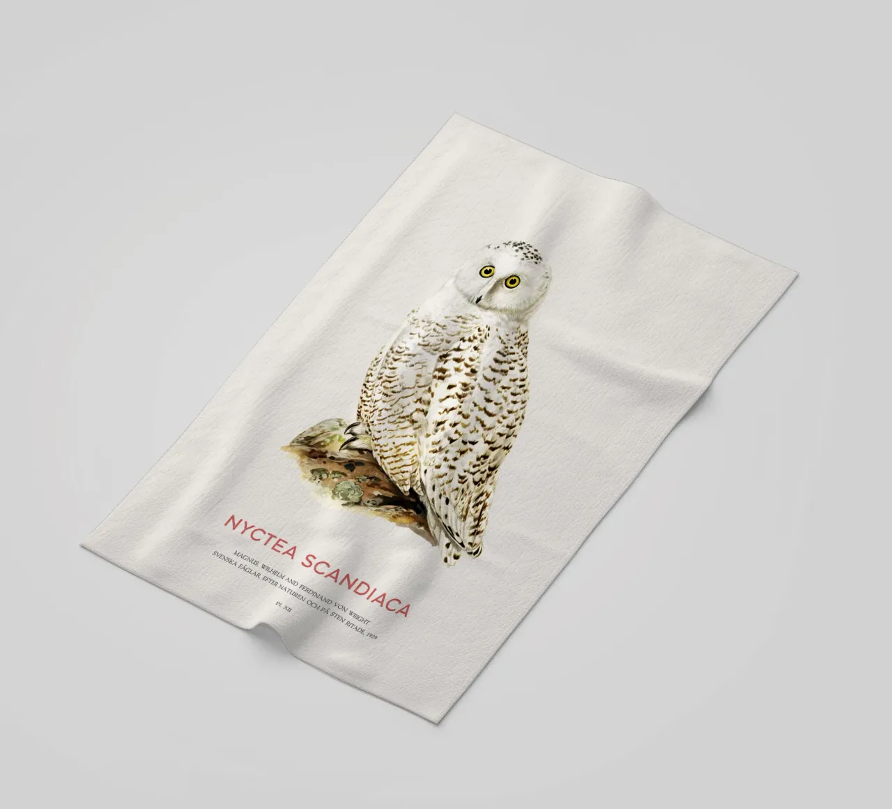 Snowy owl or Nyctea scandiaca beach towel by Vintagrafica