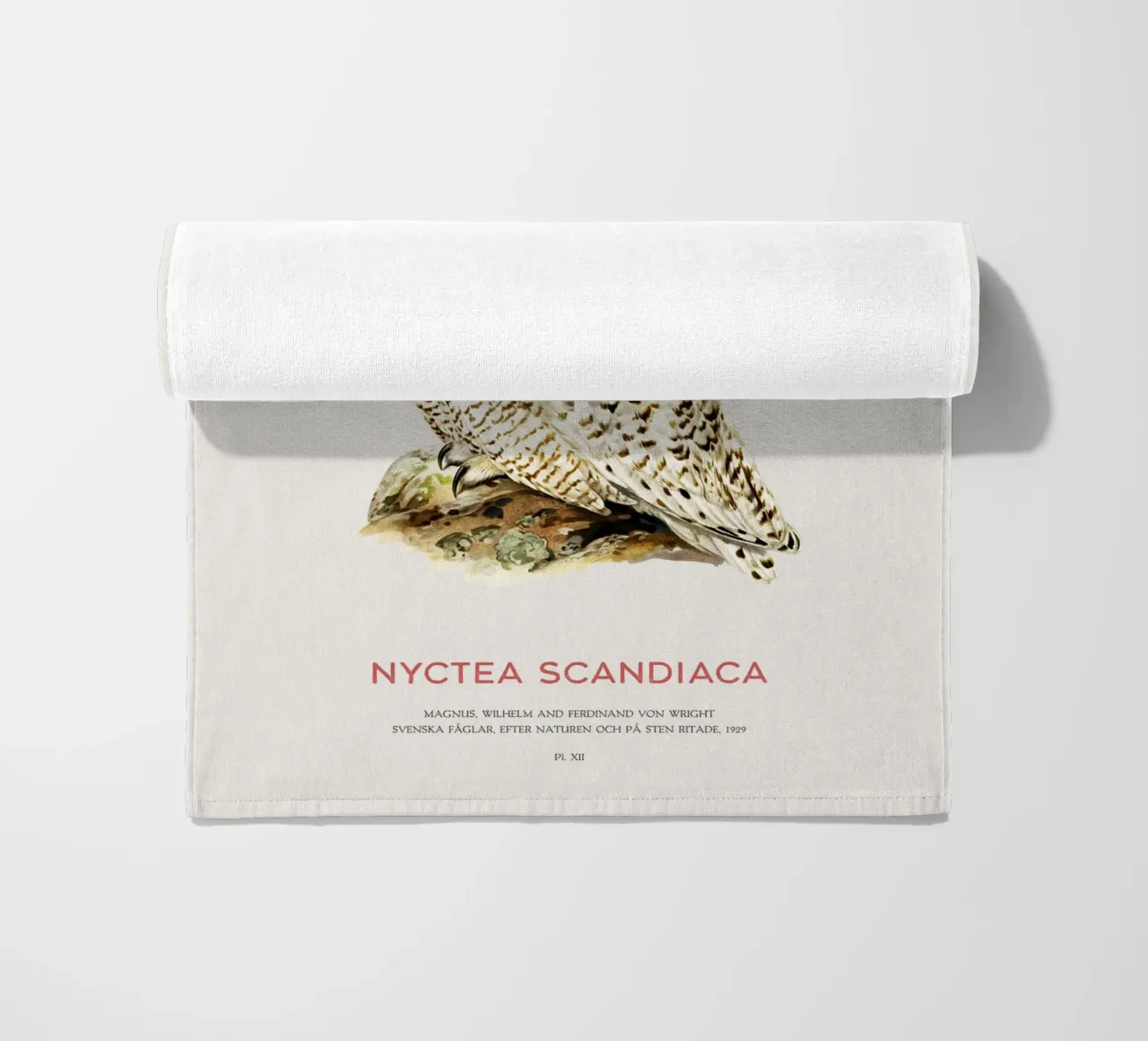 Snowy owl or Nyctea scandiaca beach towel by Vintagrafica