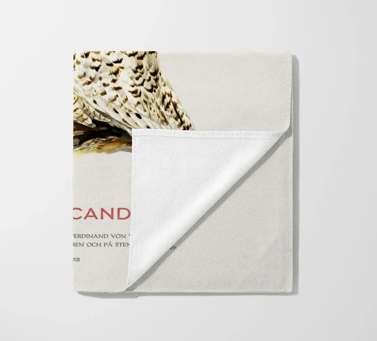 Snowy owl or Nyctea scandiaca beach towel by Vintagrafica