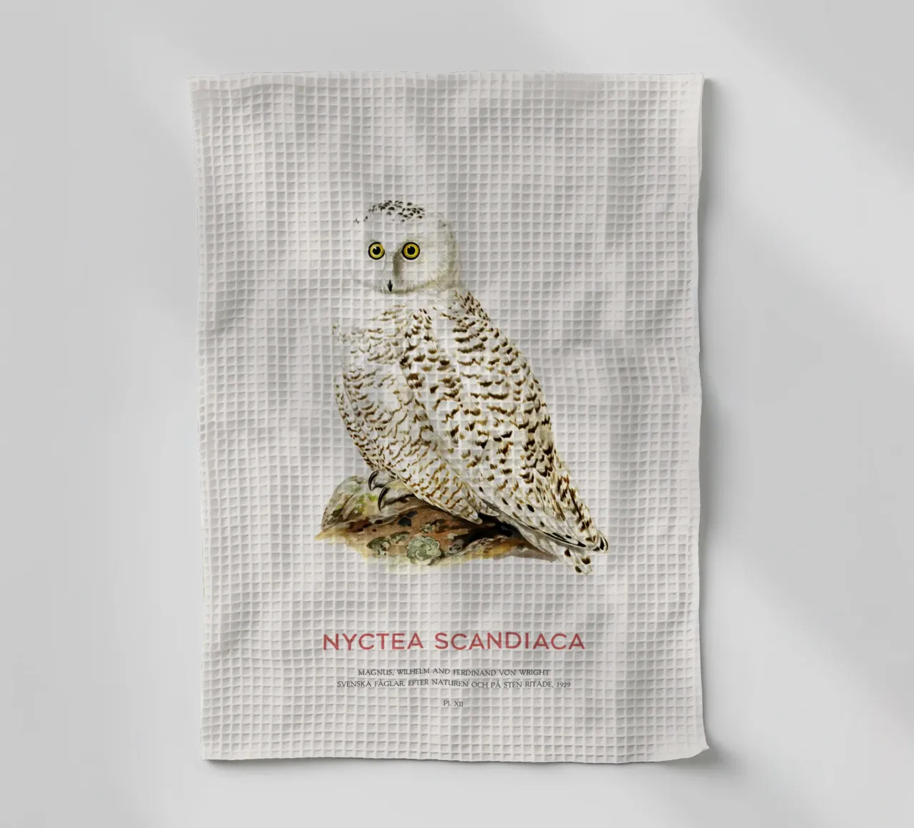 Schneeeule oder Nyctea scandiaca Geschirrtuch von Vintagrafica