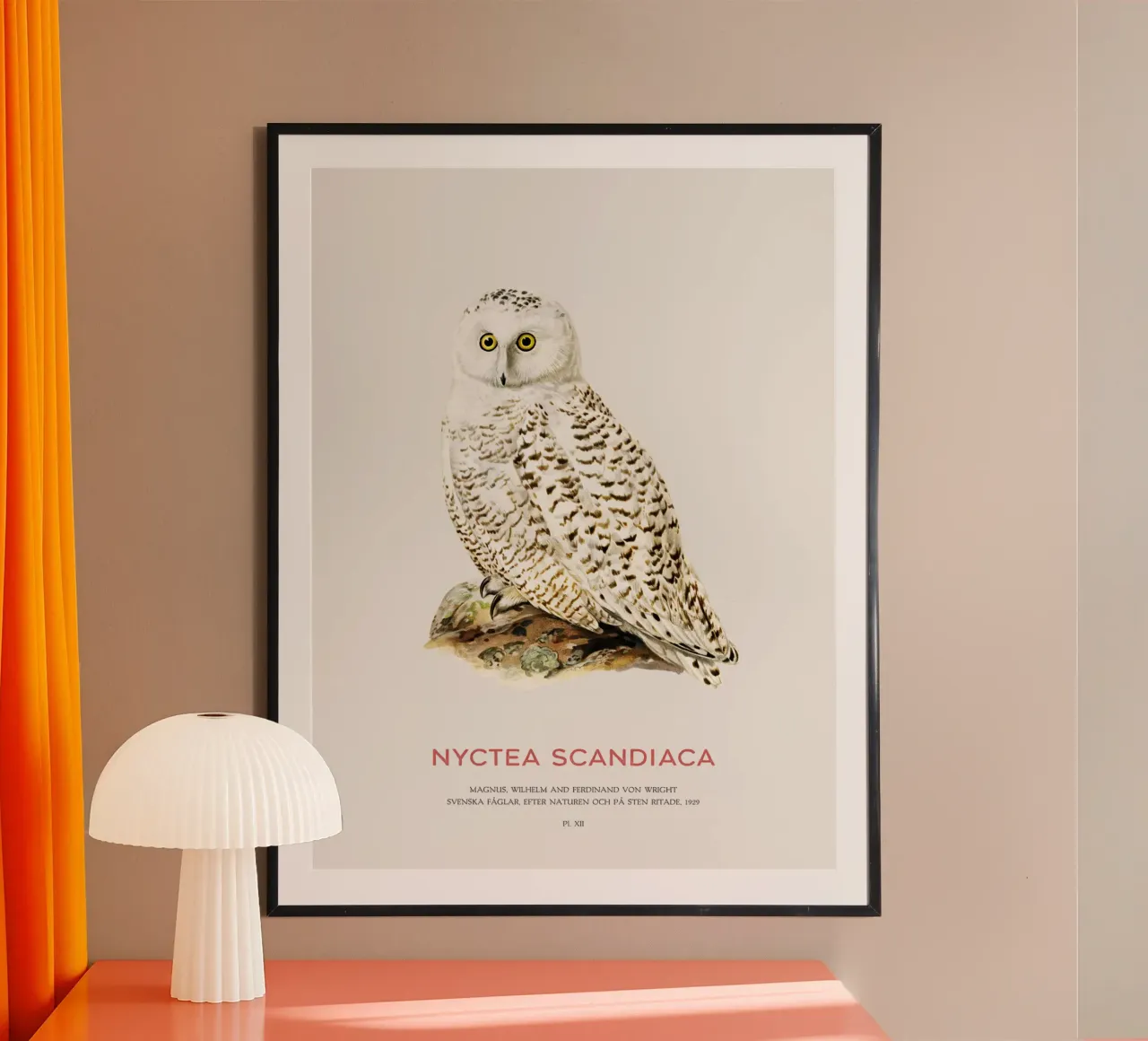 Schneeeule oder Nyctea scandiaca Hahnemühle von Vintagrafica