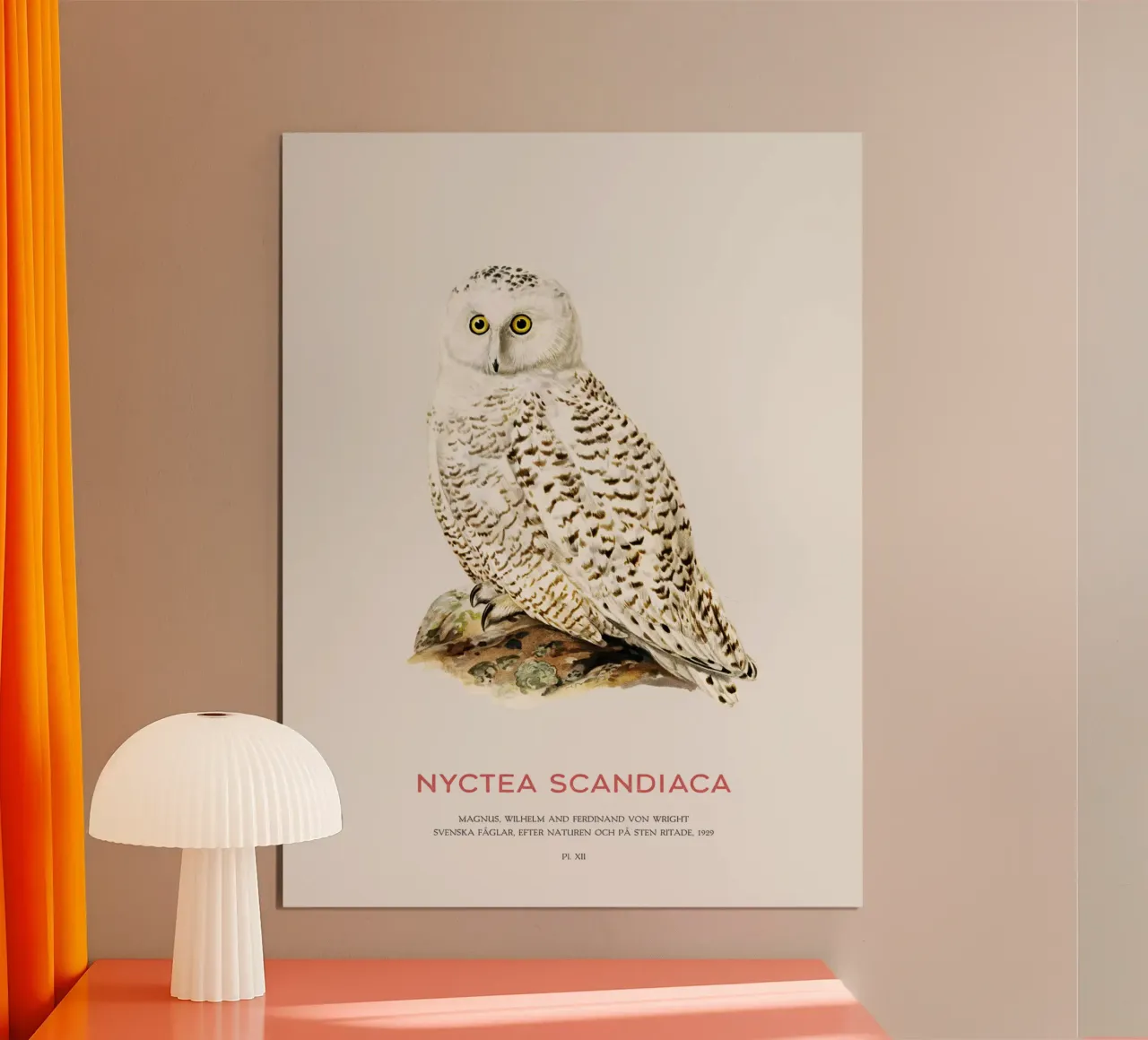 Schneeeule oder Nyctea scandiaca Hahnemühle von Vintagrafica