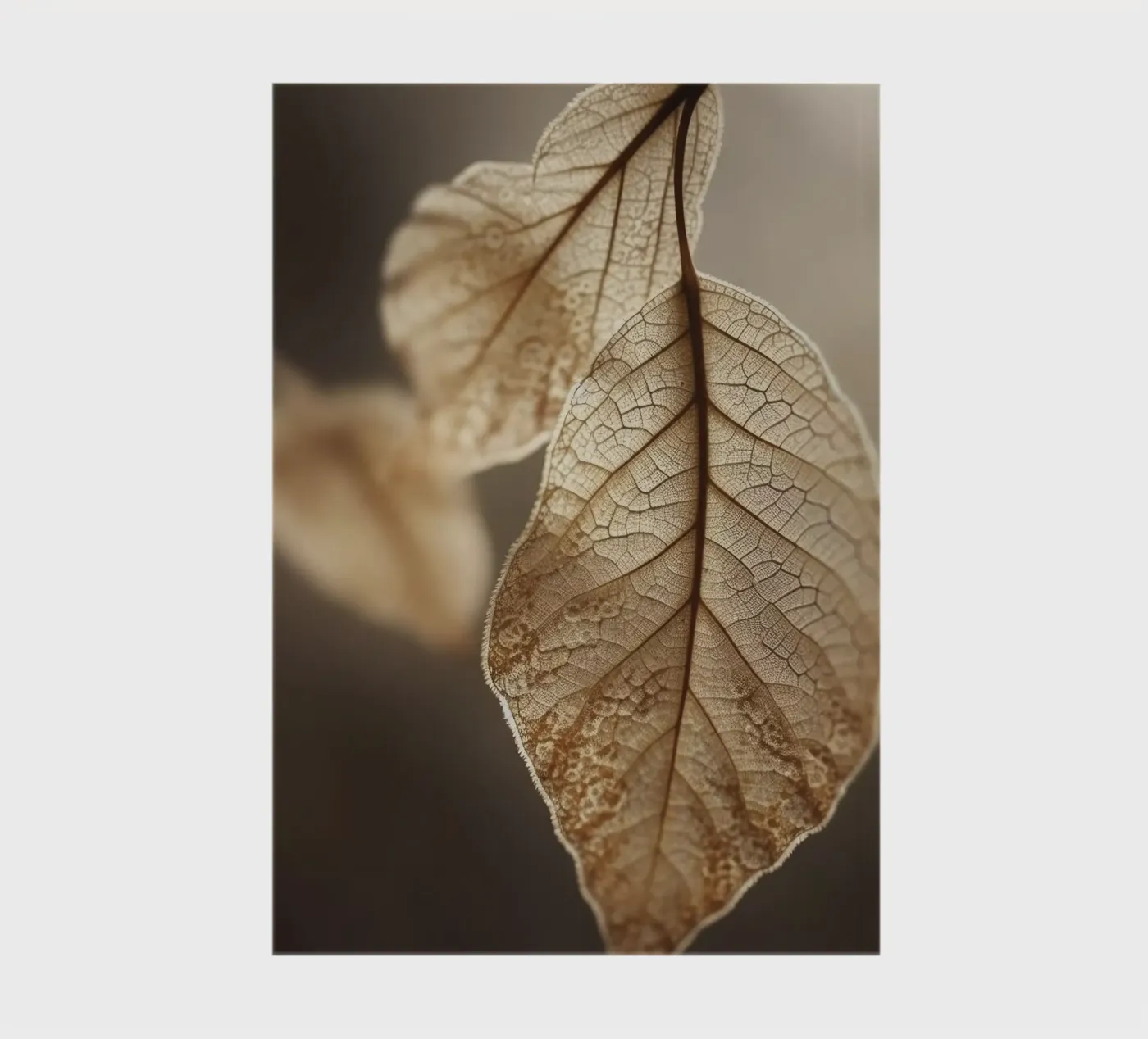 Leaf Macro notebook by treechild