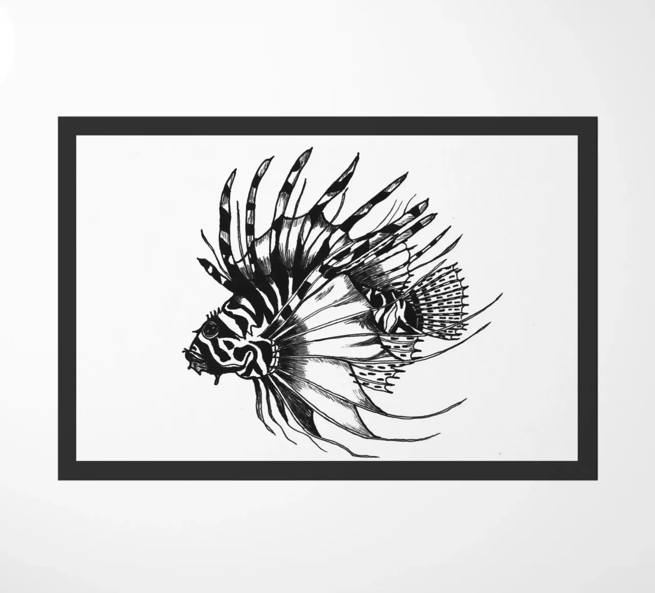 Stachelfisch zerbino da naturelines