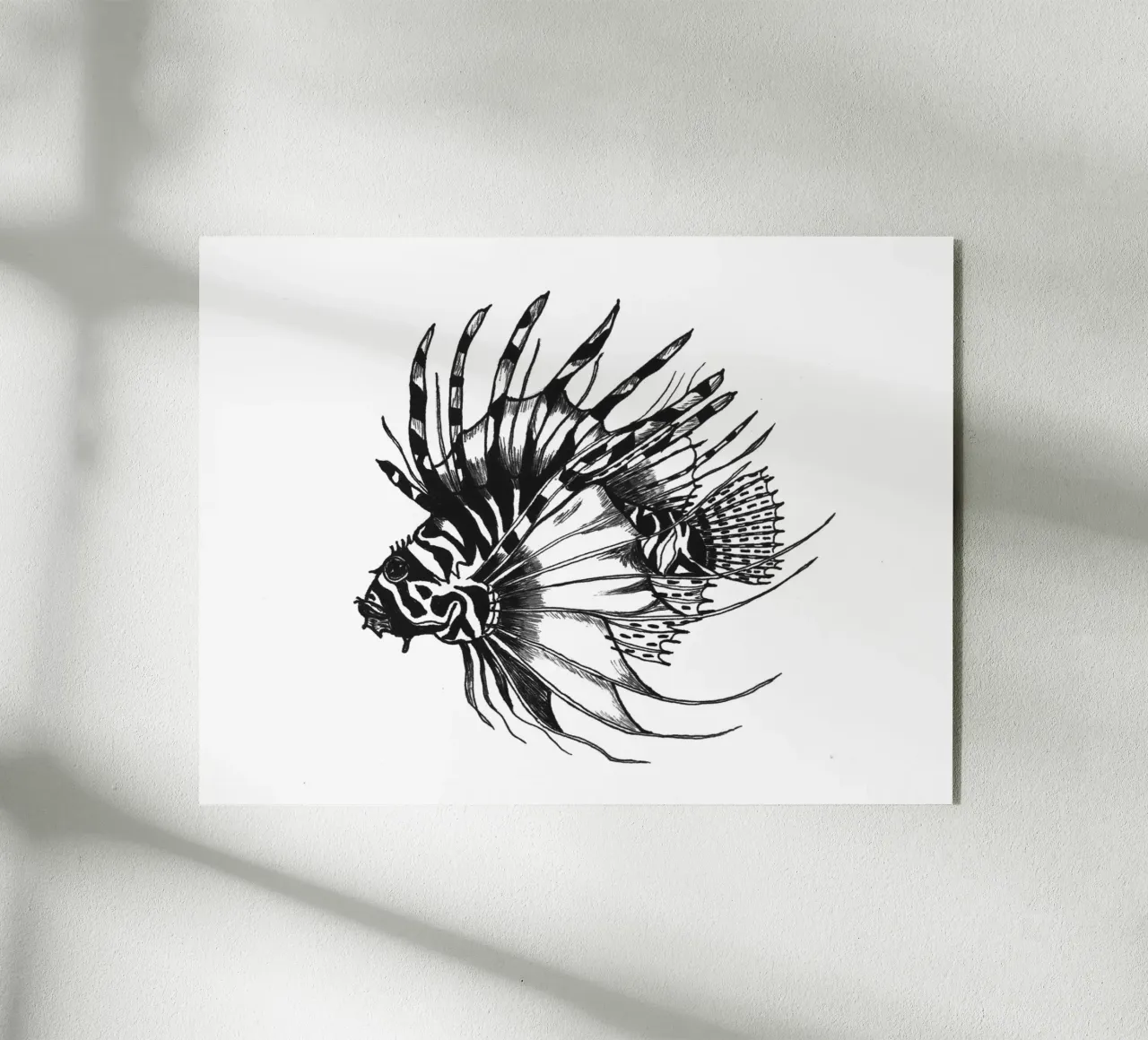 Stachelfisch plexiglass da naturelines