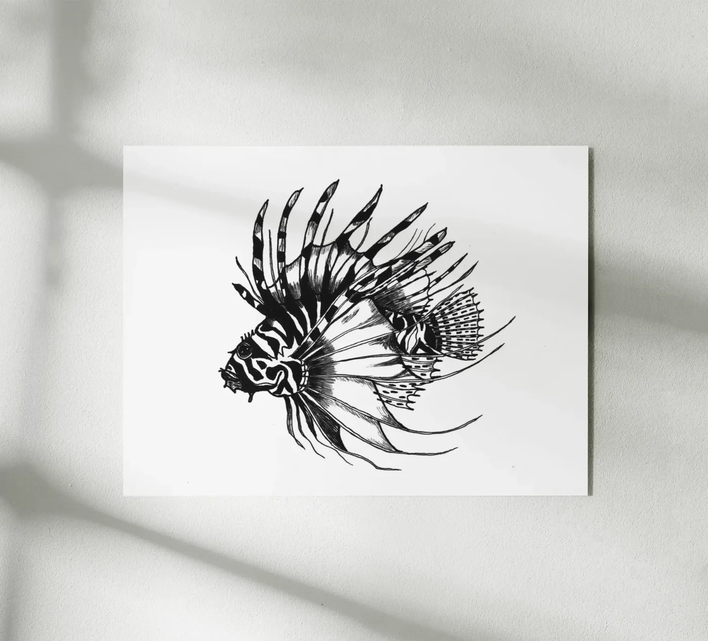 Stachelfisch plexiglass da naturelines