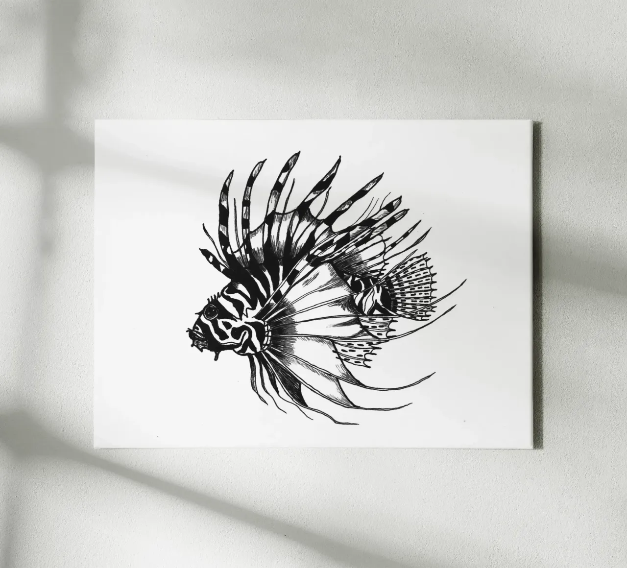 Stachelfisch canvas with Floater frame by naturelines