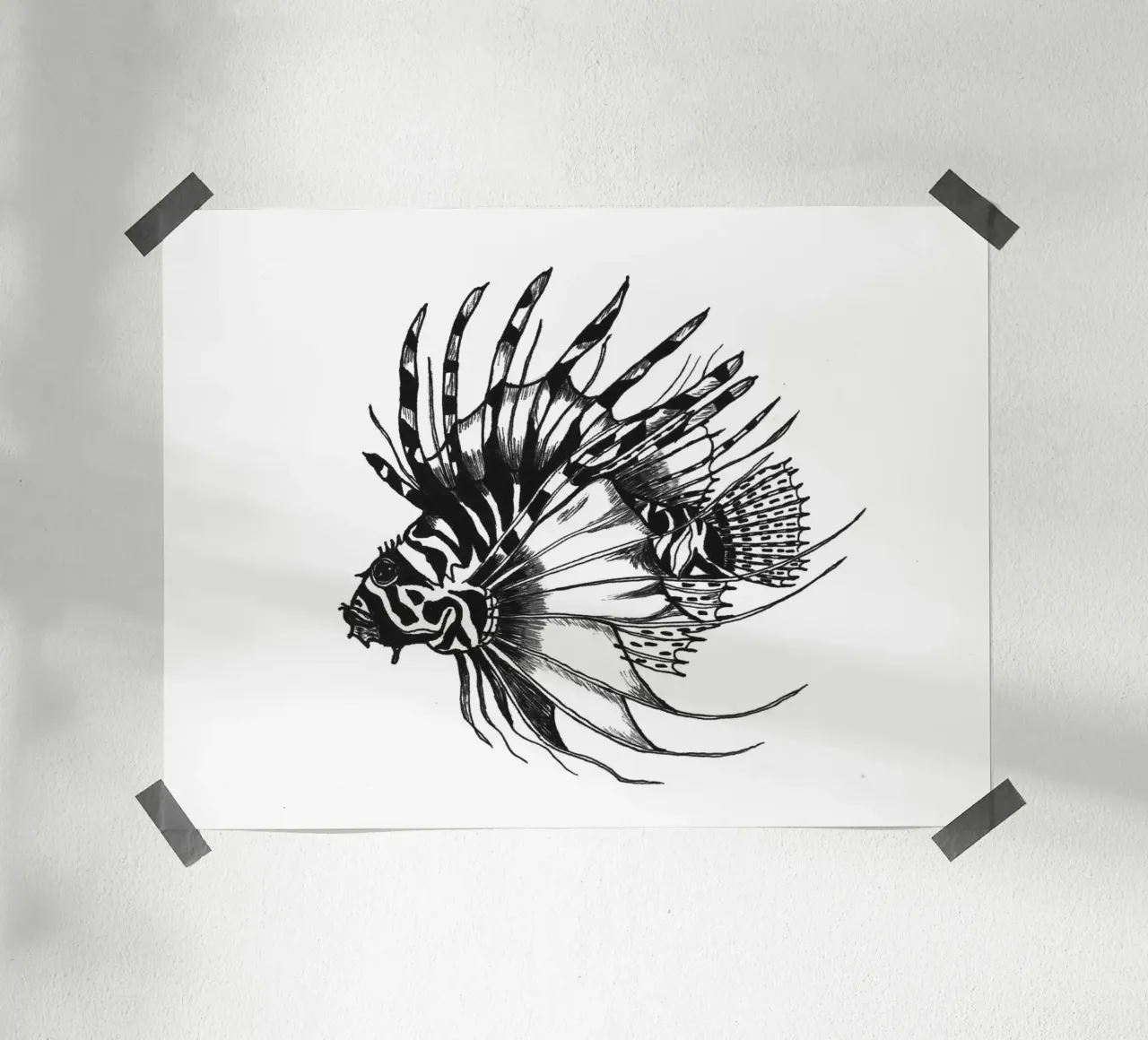 Stachelfisch poster da naturelines