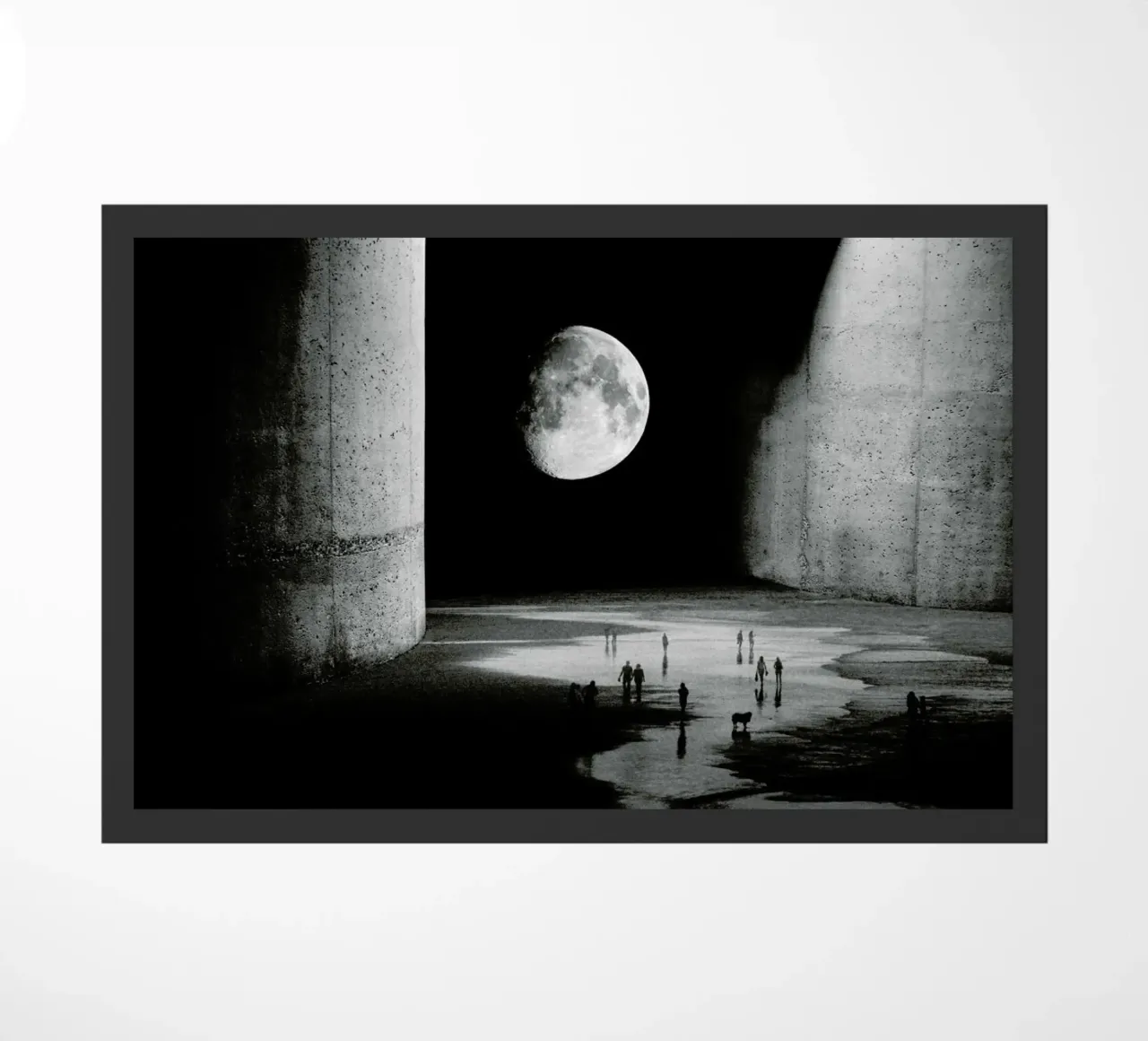 To the Moon zerbino da Stoian Hitrov