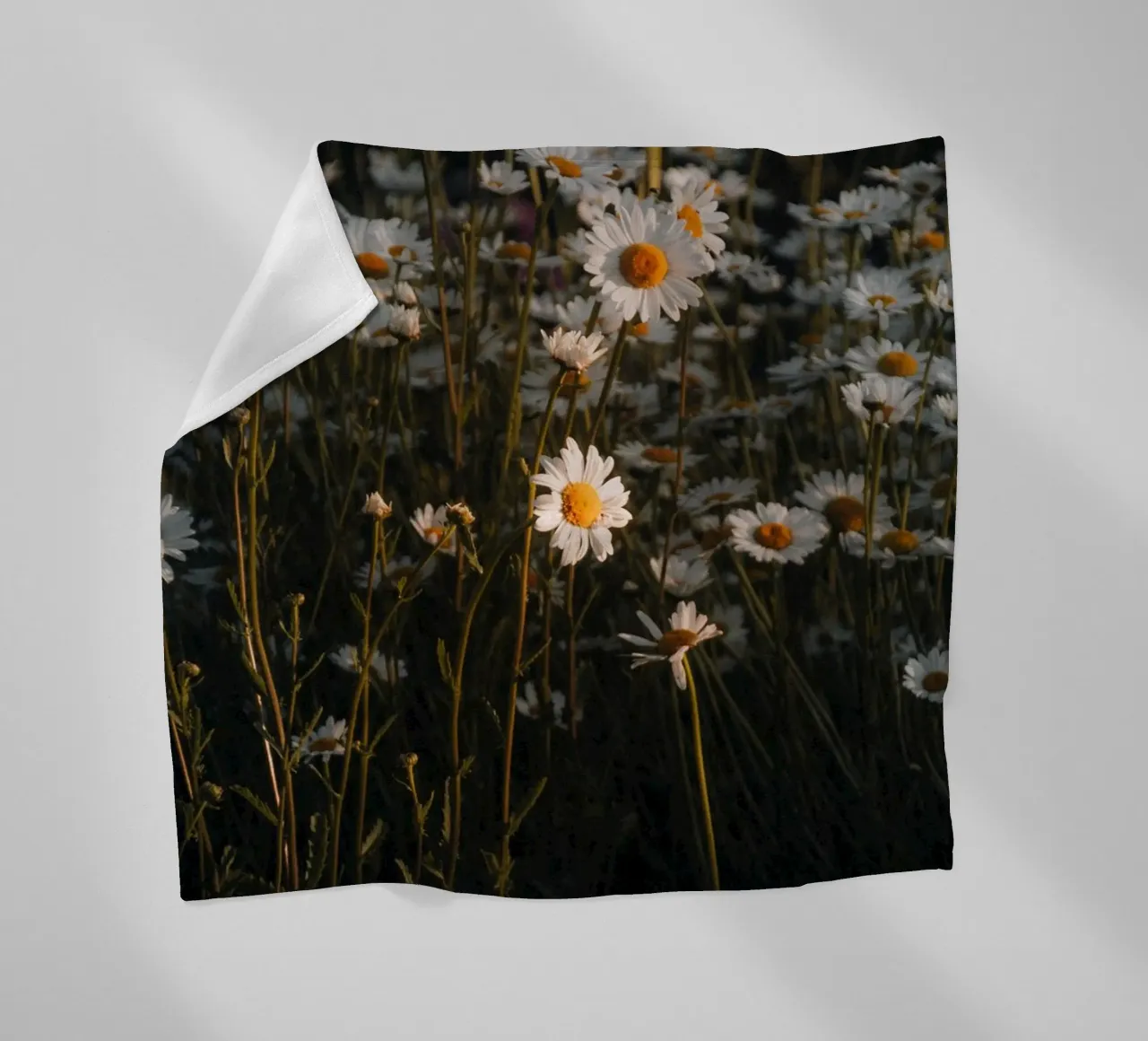 Fiori all'alba coperta in pile da Journey of Vanessa