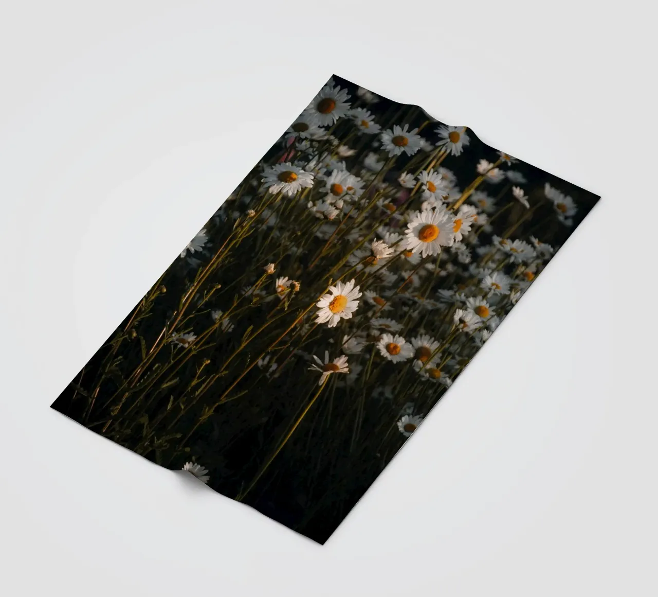 Fiori all'alba coperta in pile da Journey of Vanessa