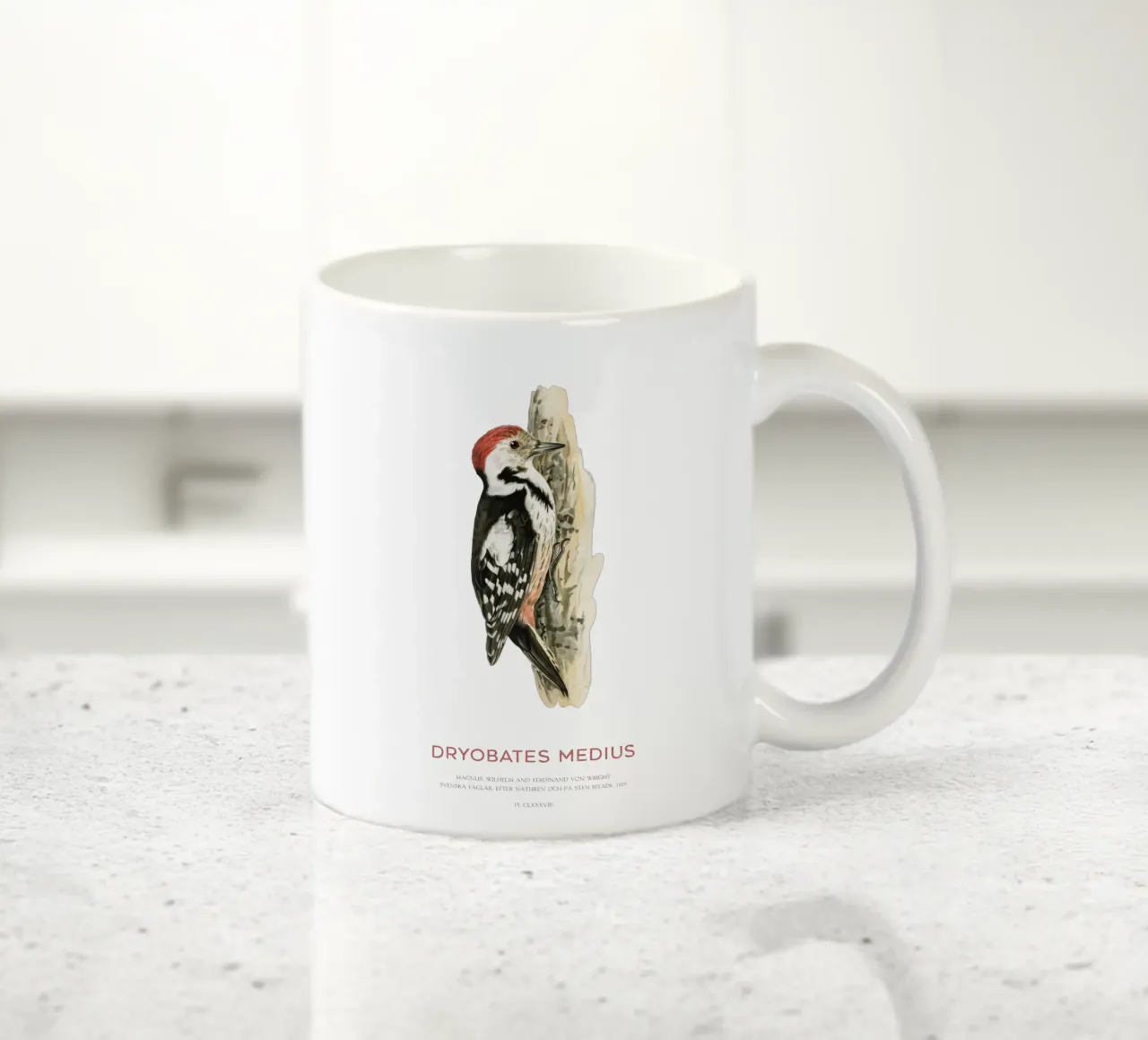 Picchio rosso medio o Dryobates medius tazza in ceramica da Vintagrafica