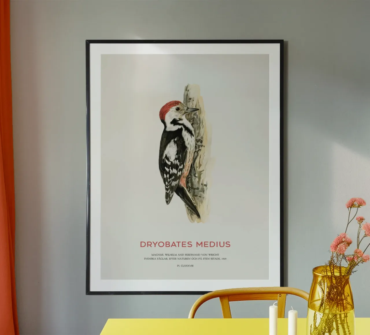 Mittelspecht oder Dryobates medius Hahnemühle von Vintagrafica