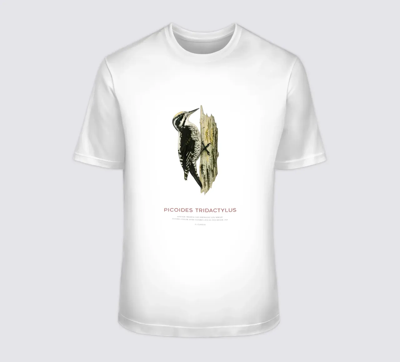 Picchio tridattilo eurasiatico o Picoides tridactylus t-shirt da Vintagrafica