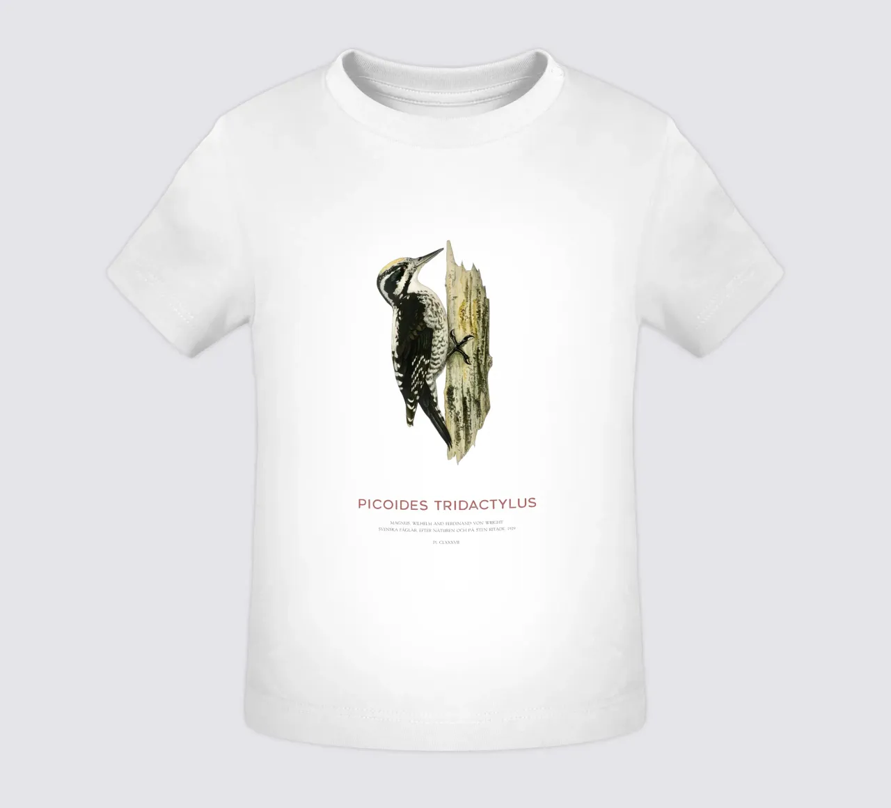 Pico tridáctilo o Picoides tridactylus camiseta de bebé de Vintagrafica