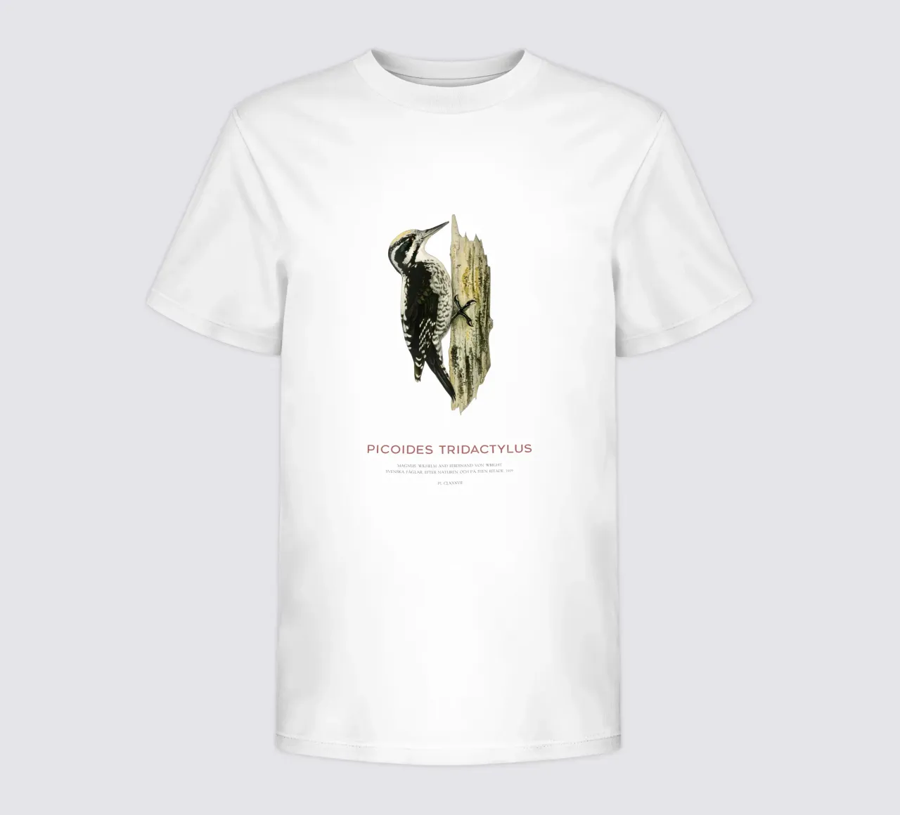 Pico tridáctilo o Picoides tridactylus camiseta para niños de Vintagrafica