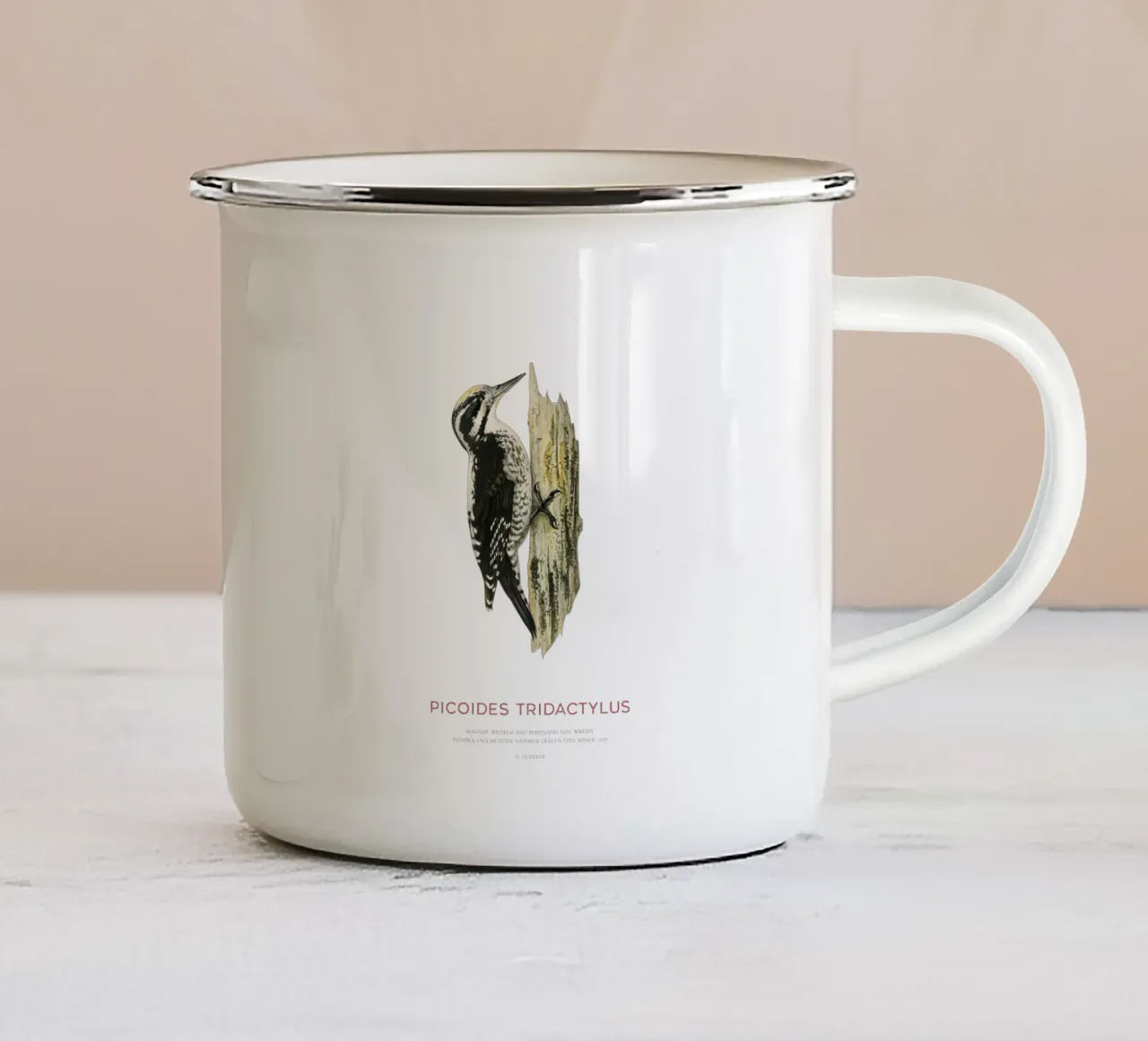 Picchio tridattilo eurasiatico o Picoides tridactylus tazza in smalto da Vintagrafica