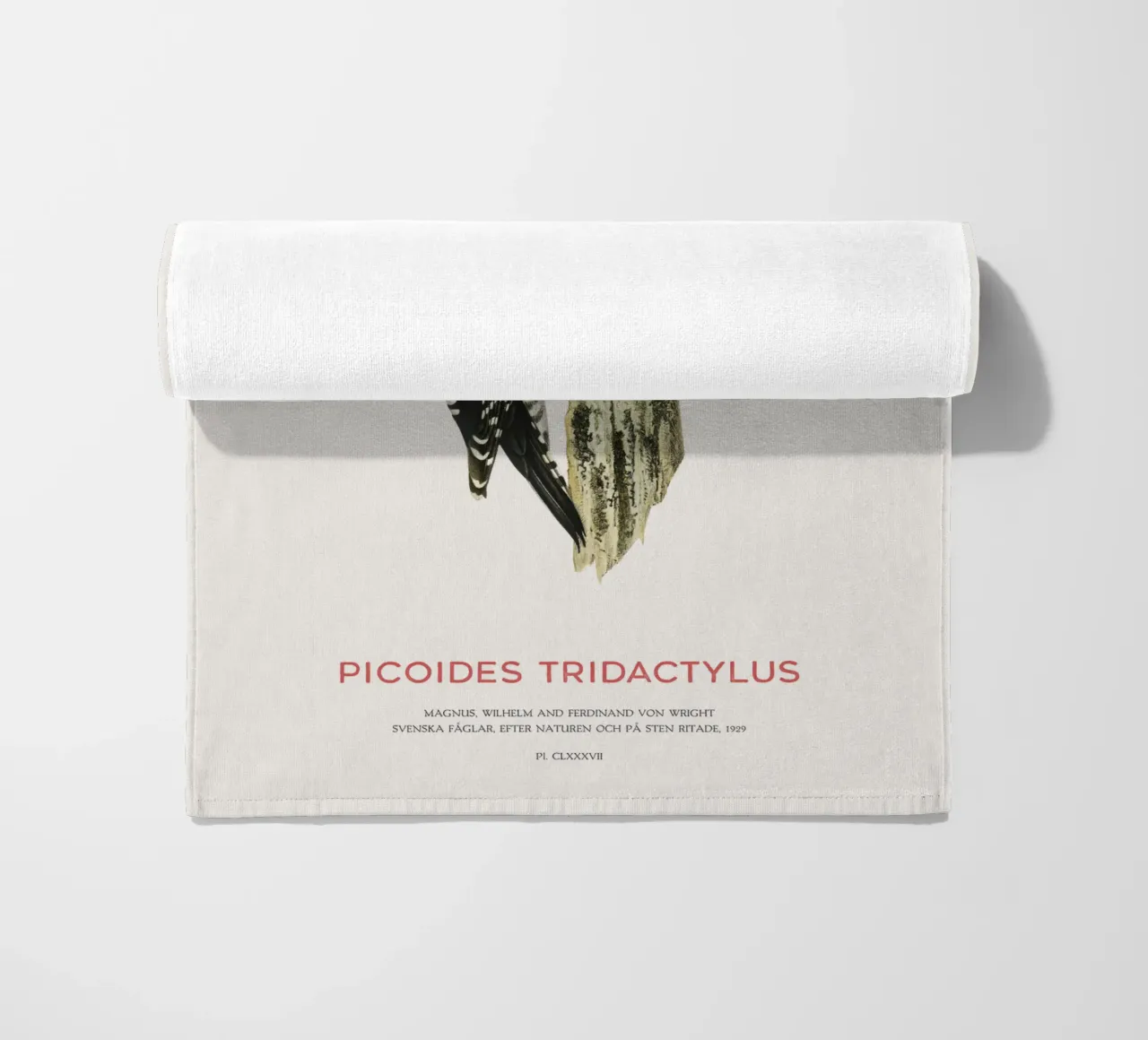 Pico tridáctilo o Picoides tridactylus toalla de playa de Vintagrafica