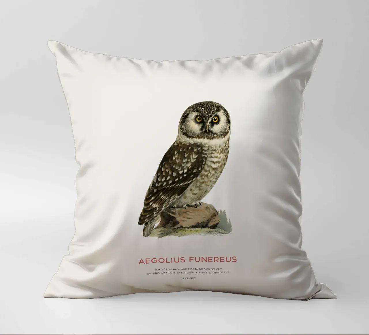 Gufo boreale o Aegolius funereus cuscino da Vintagrafica
