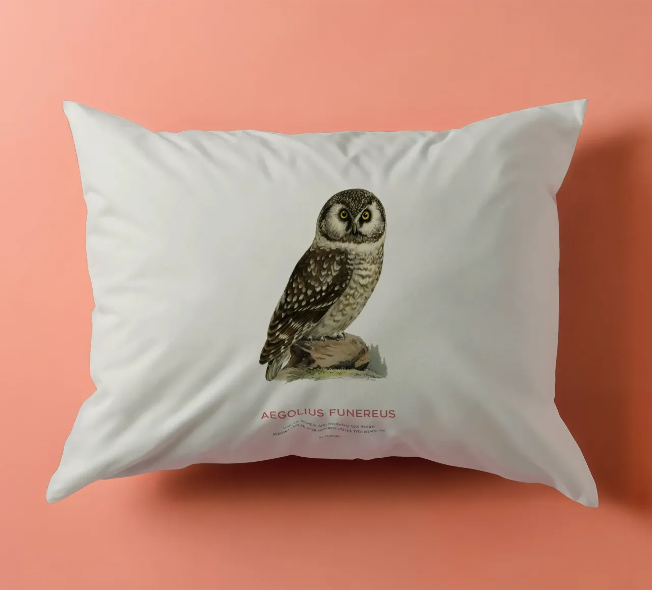 Gufo boreale o Aegolius funereus cuscino da Vintagrafica