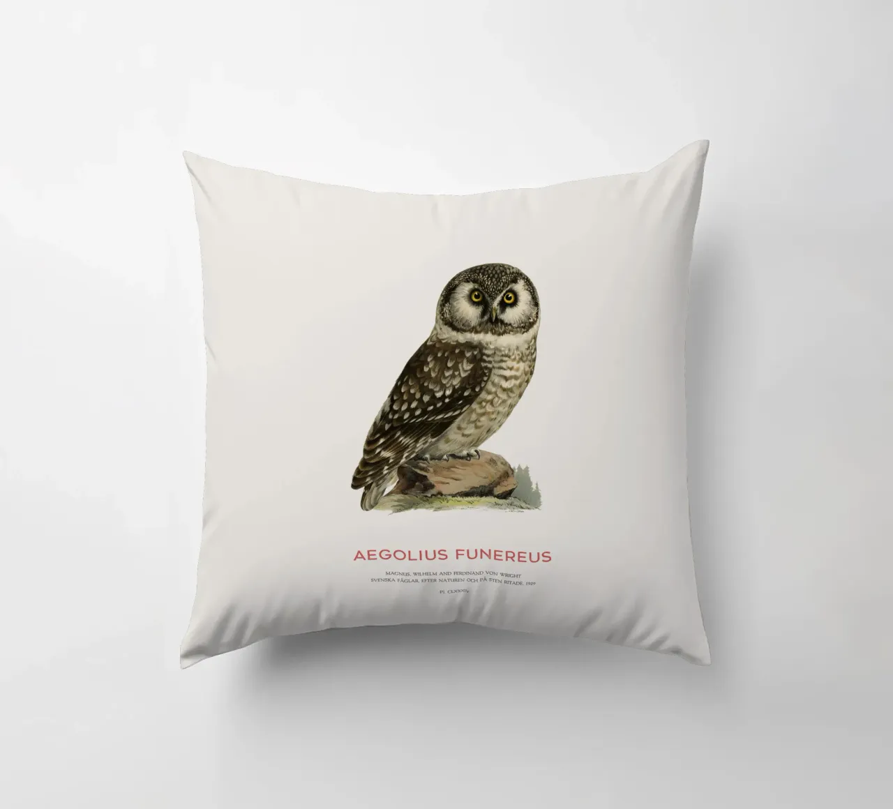 Gufo boreale o Aegolius funereus cuscino da Vintagrafica