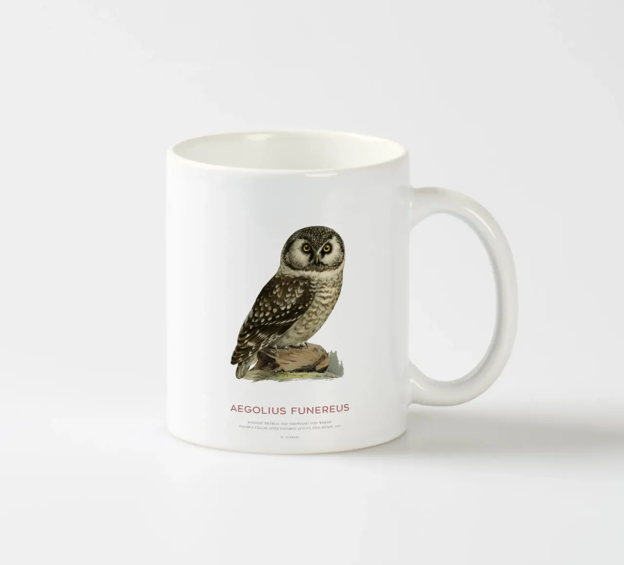 Gufo boreale o Aegolius funereus tazza in ceramica da Vintagrafica