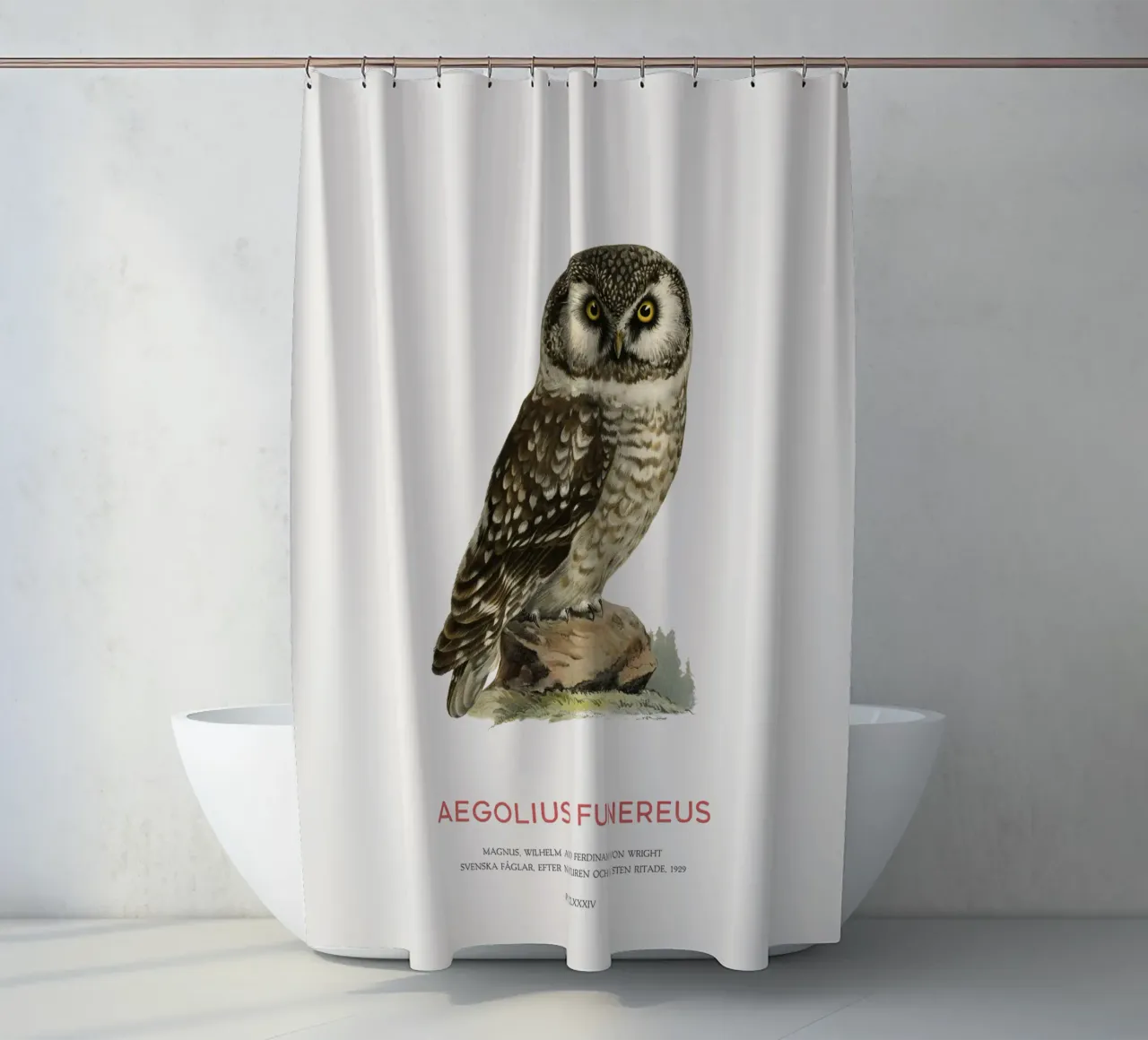 Waldohreule oder Aegolius funereus Duschvorhang von Vintagrafica
