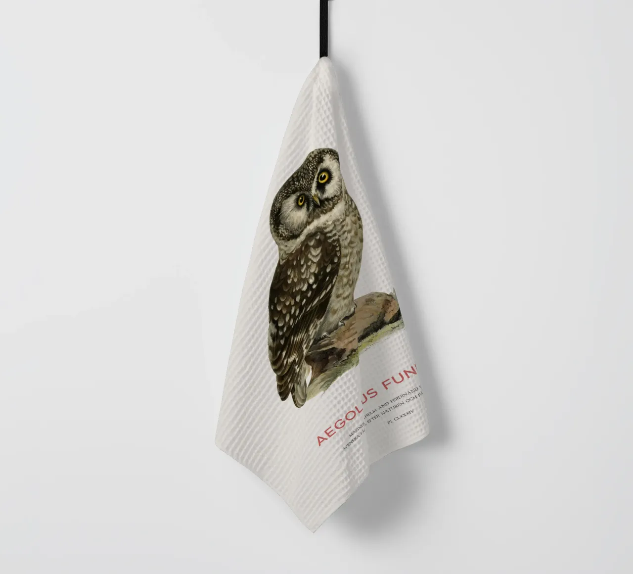 Gufo boreale o Aegolius funereus canovaccio da cucina da Vintagrafica
