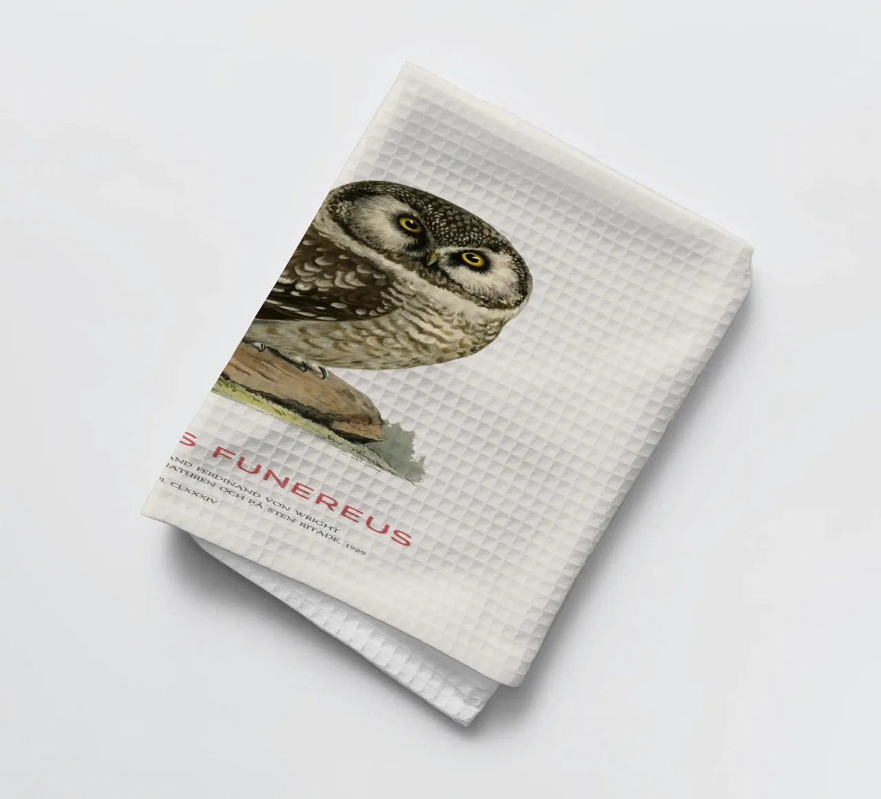 Gufo boreale o Aegolius funereus canovaccio da cucina da Vintagrafica