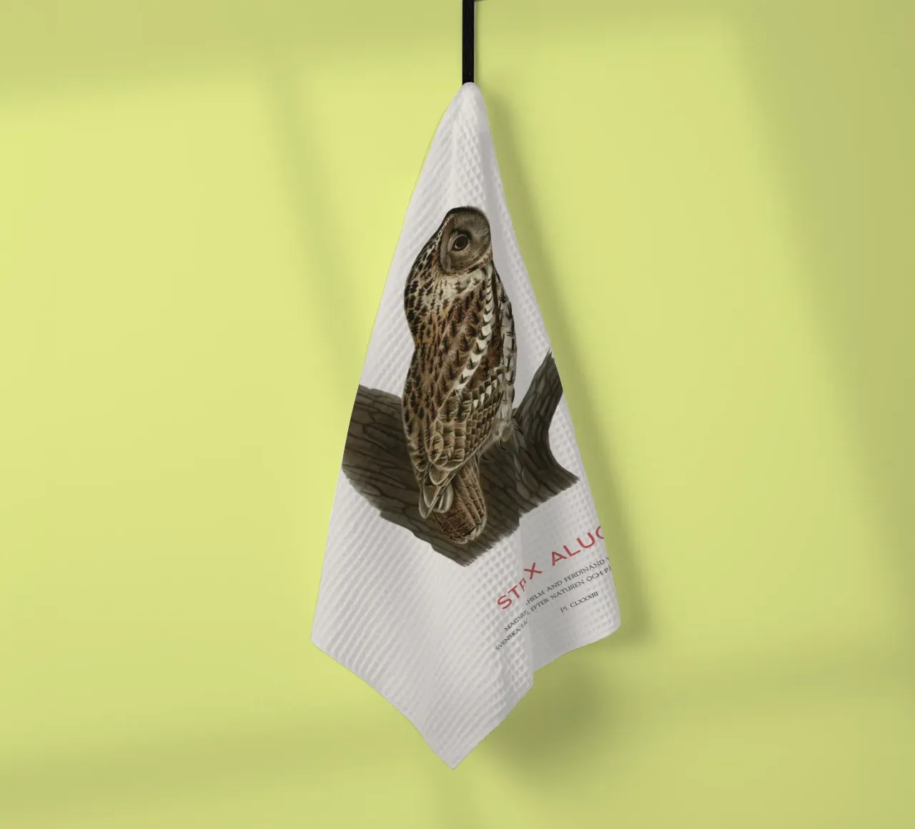 Allocco o Strix aluco canovaccio da cucina da Vintagrafica
