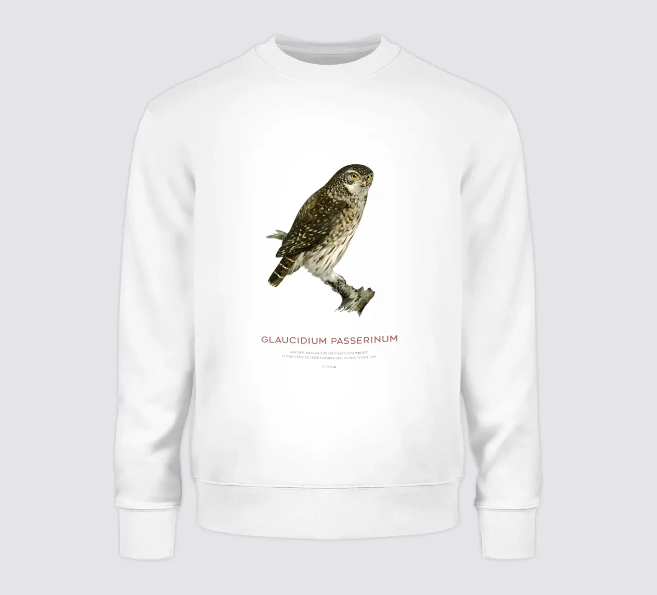 Sperlingskauz oder Glaucidium passerinum (Sperlingskauz) Sweatshirt von Vintagrafica