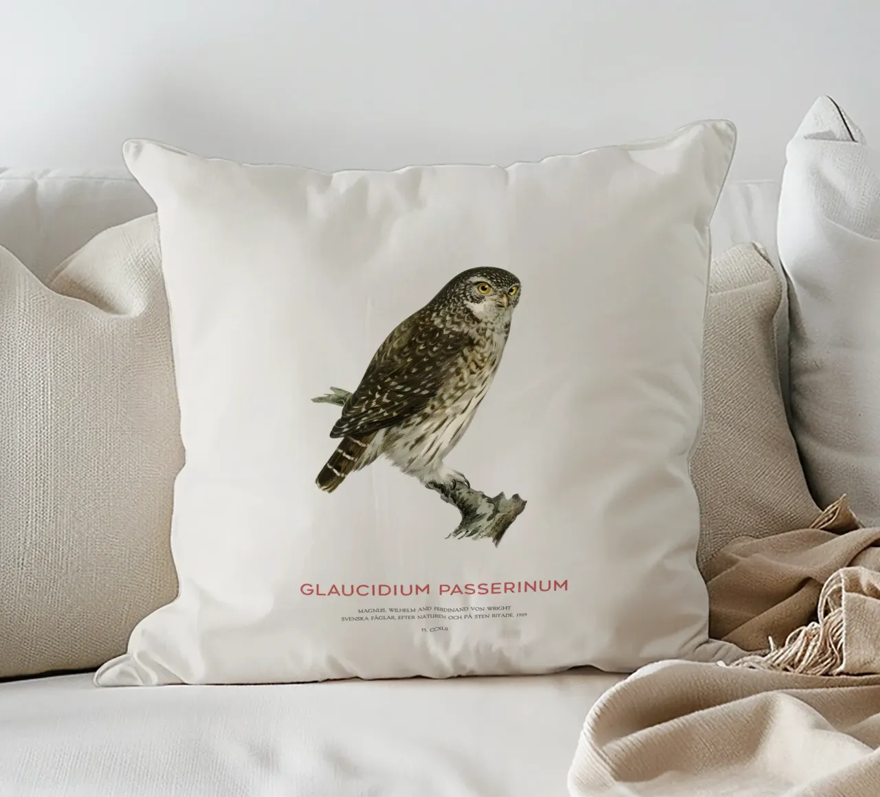 Sperlingskauz oder Glaucidium passerinum (Sperlingskauz) Kissen von Vintagrafica