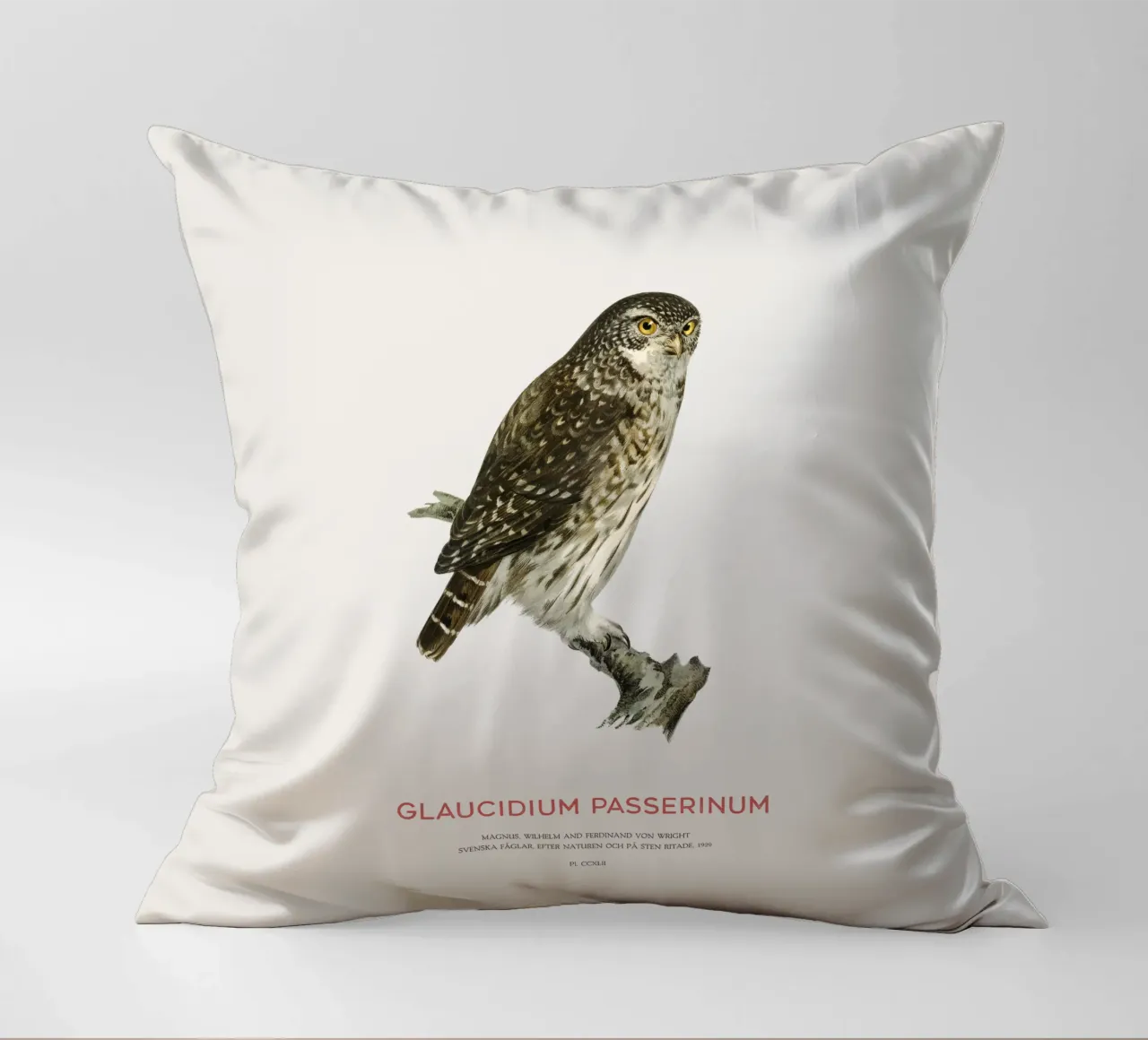 Sperlingskauz oder Glaucidium passerinum (Sperlingskauz) Kissen von Vintagrafica