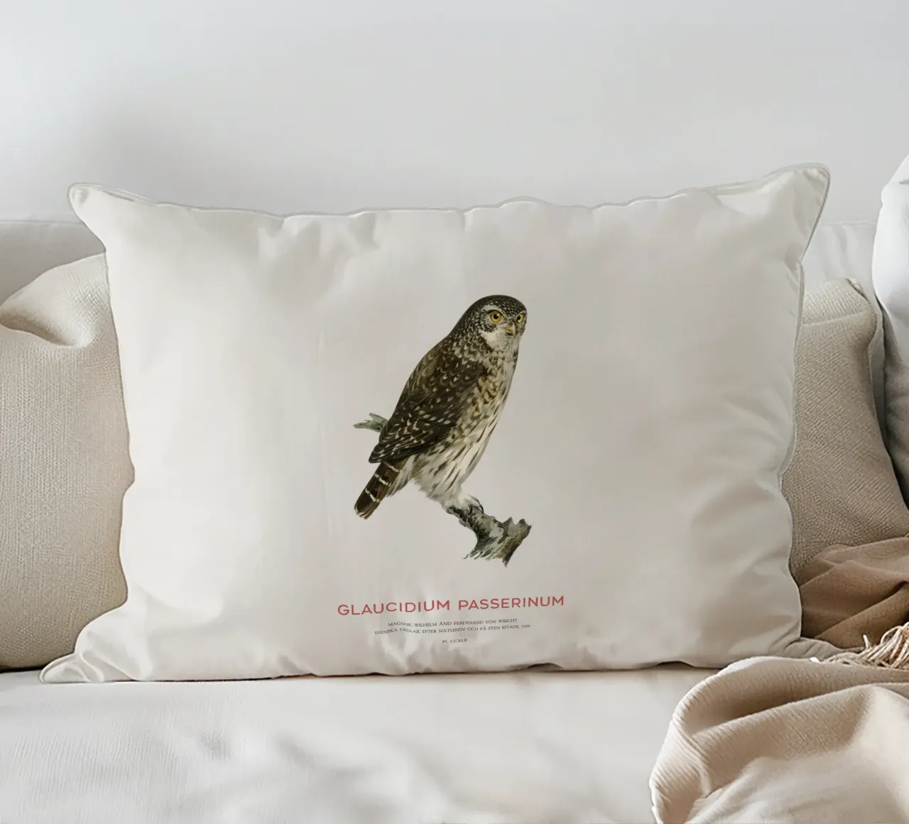 Sperlingskauz oder Glaucidium passerinum (Sperlingskauz) Kissen von Vintagrafica