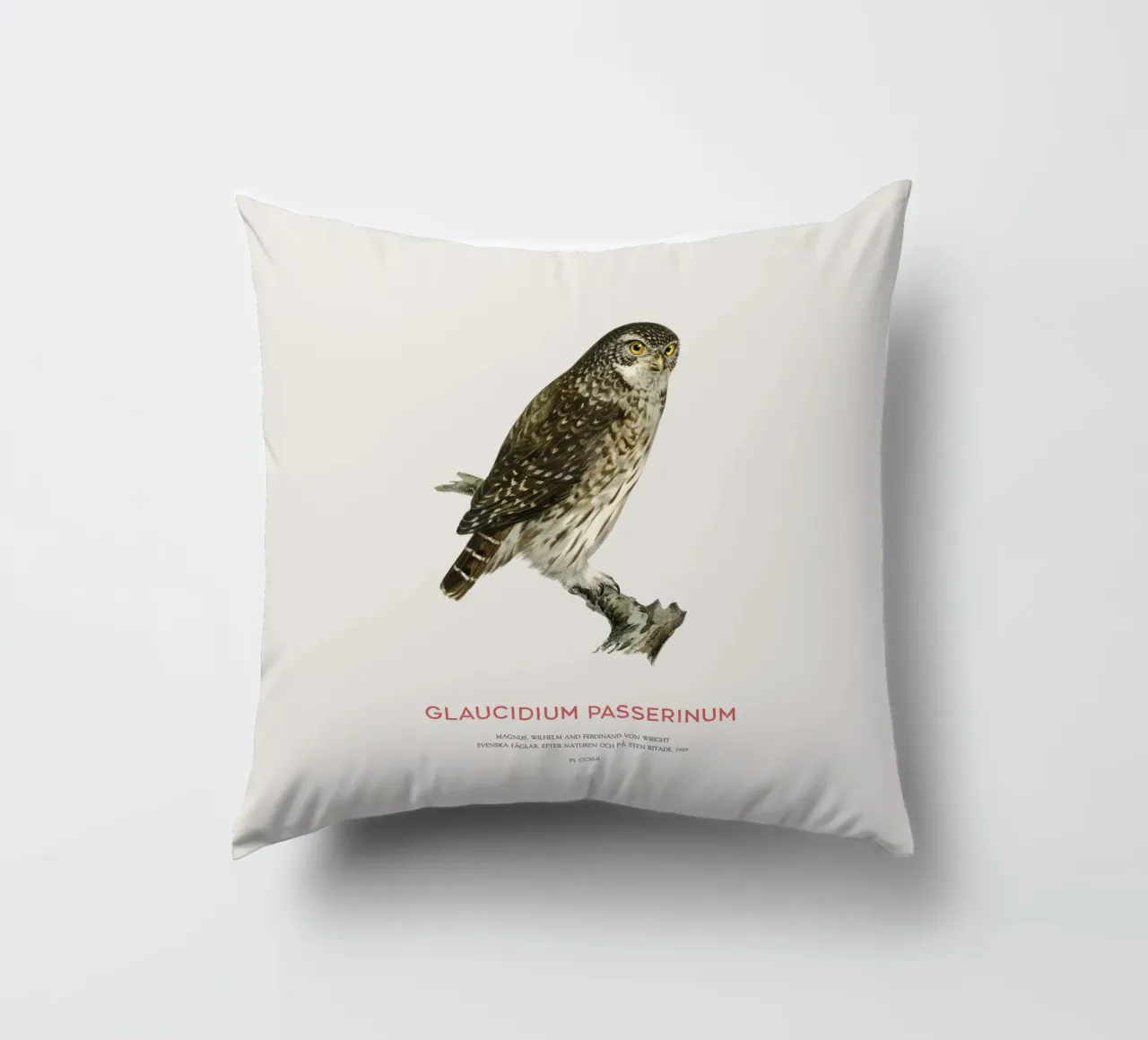 Sperlingskauz oder Glaucidium passerinum (Sperlingskauz) Kissen von Vintagrafica