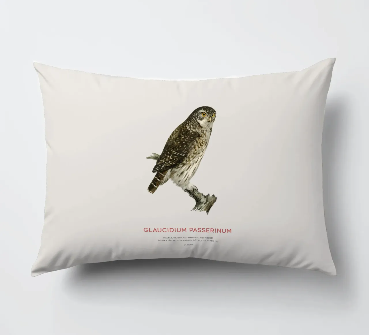 Sperlingskauz oder Glaucidium passerinum (Sperlingskauz) Kissen von Vintagrafica
